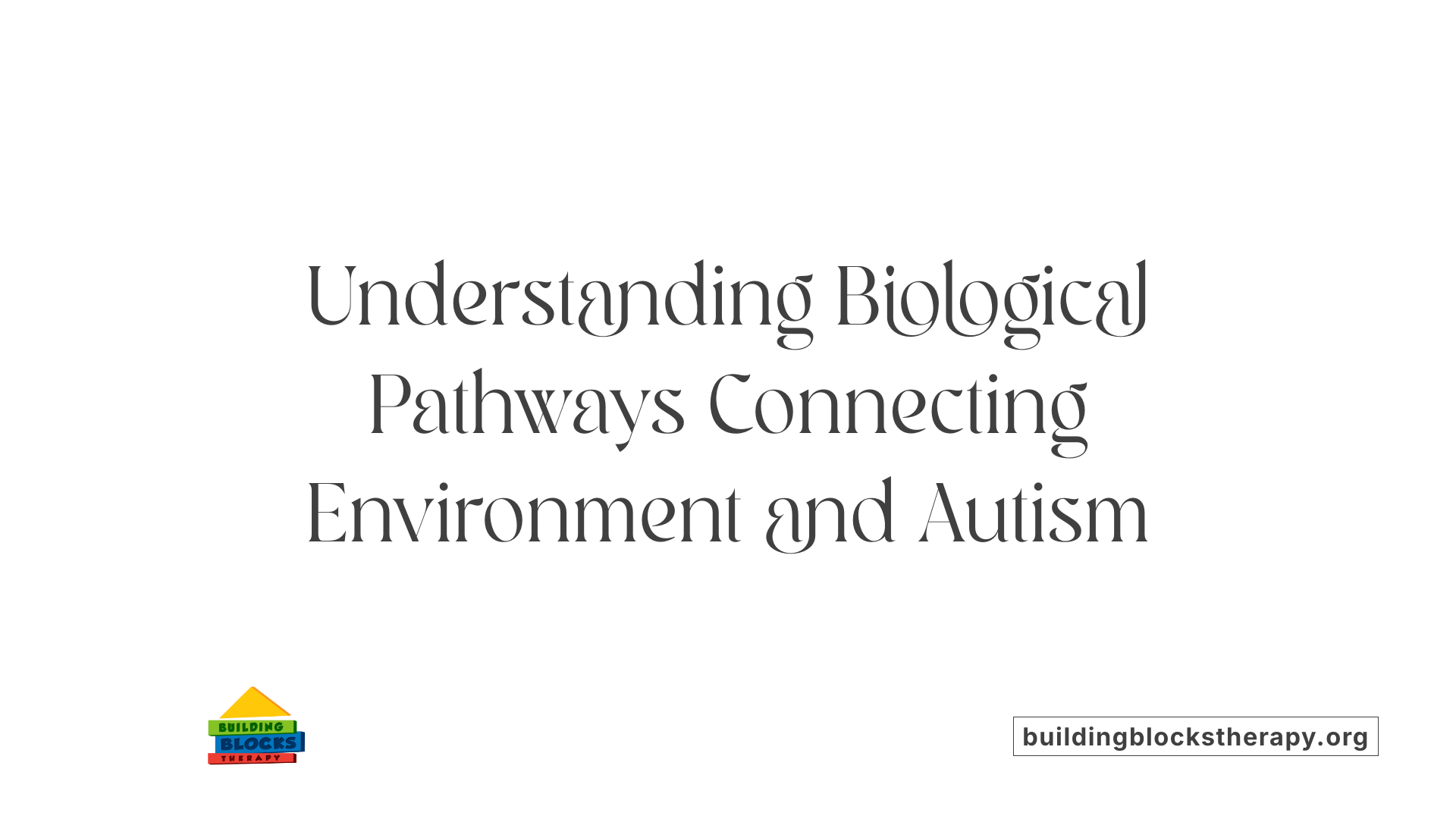 Understanding Biological Pathways Connecting Environment and Autism
