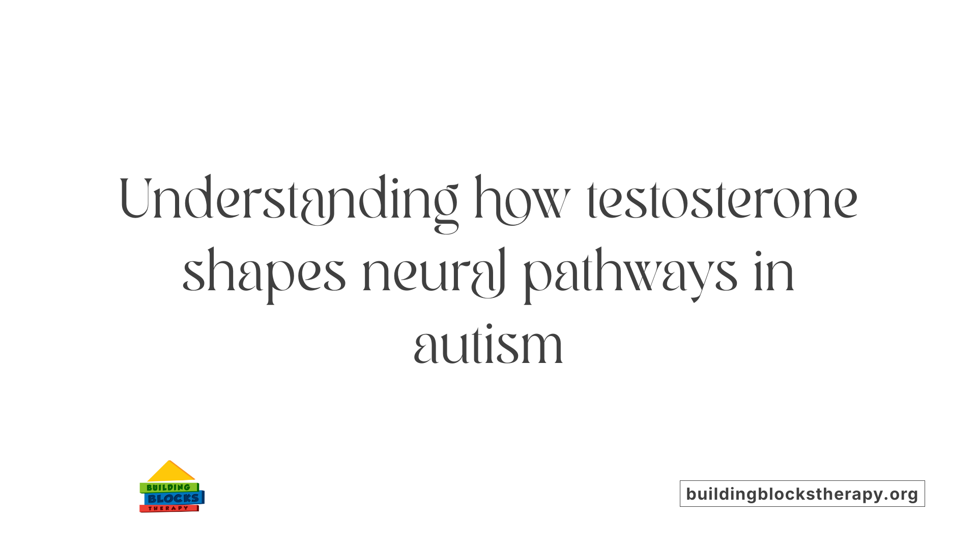 Understanding how testosterone shapes neural pathways in autism