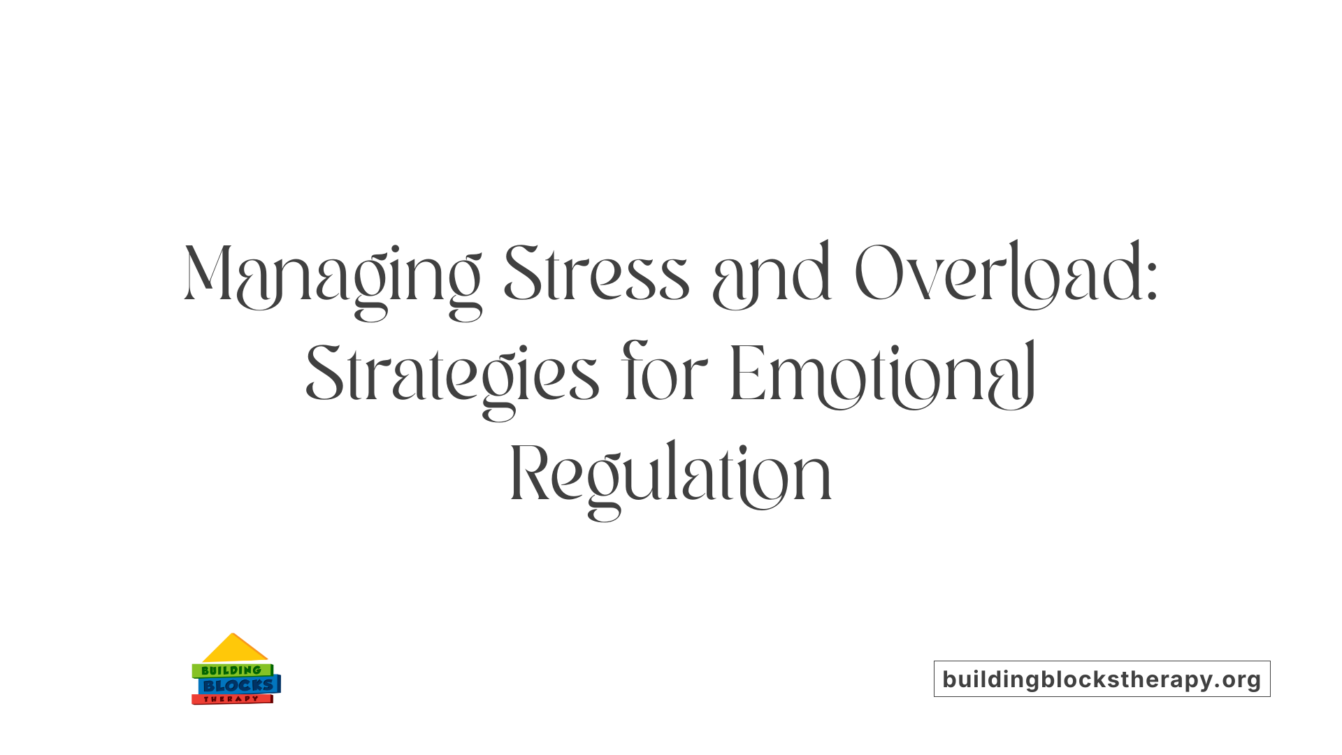 Managing Stress and Overload: Strategies for Emotional Regulation