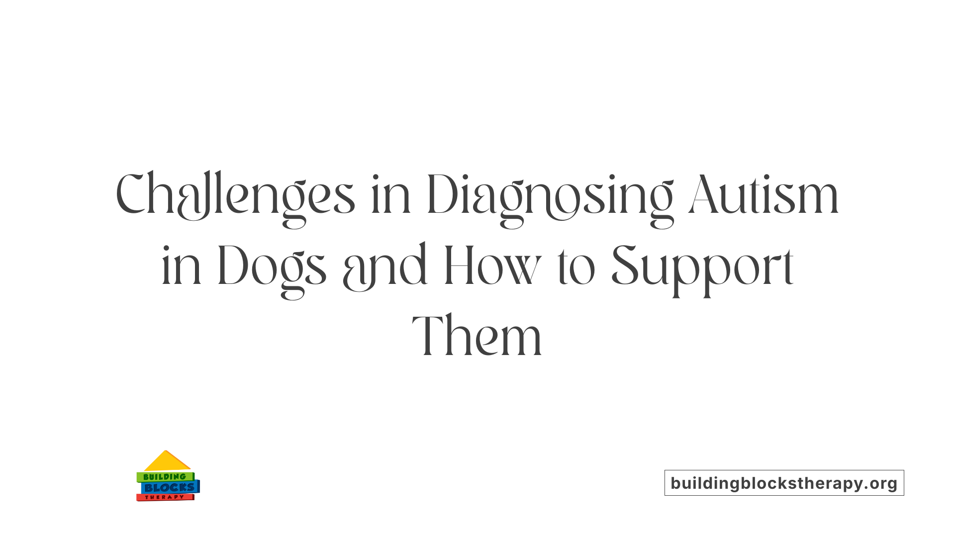 Challenges in Diagnosing Autism in Dogs and How to Support Them