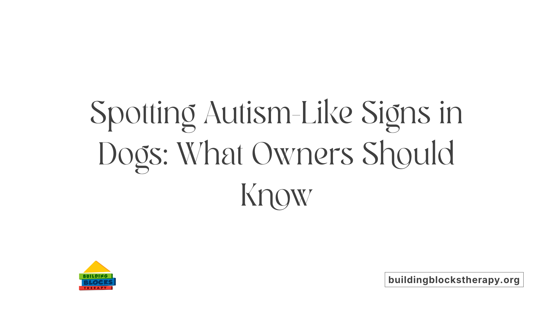 Spotting Autism-Like Signs in Dogs: What Owners Should Know