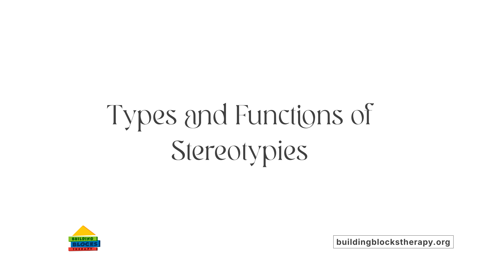 Types and Functions of Stereotypies
