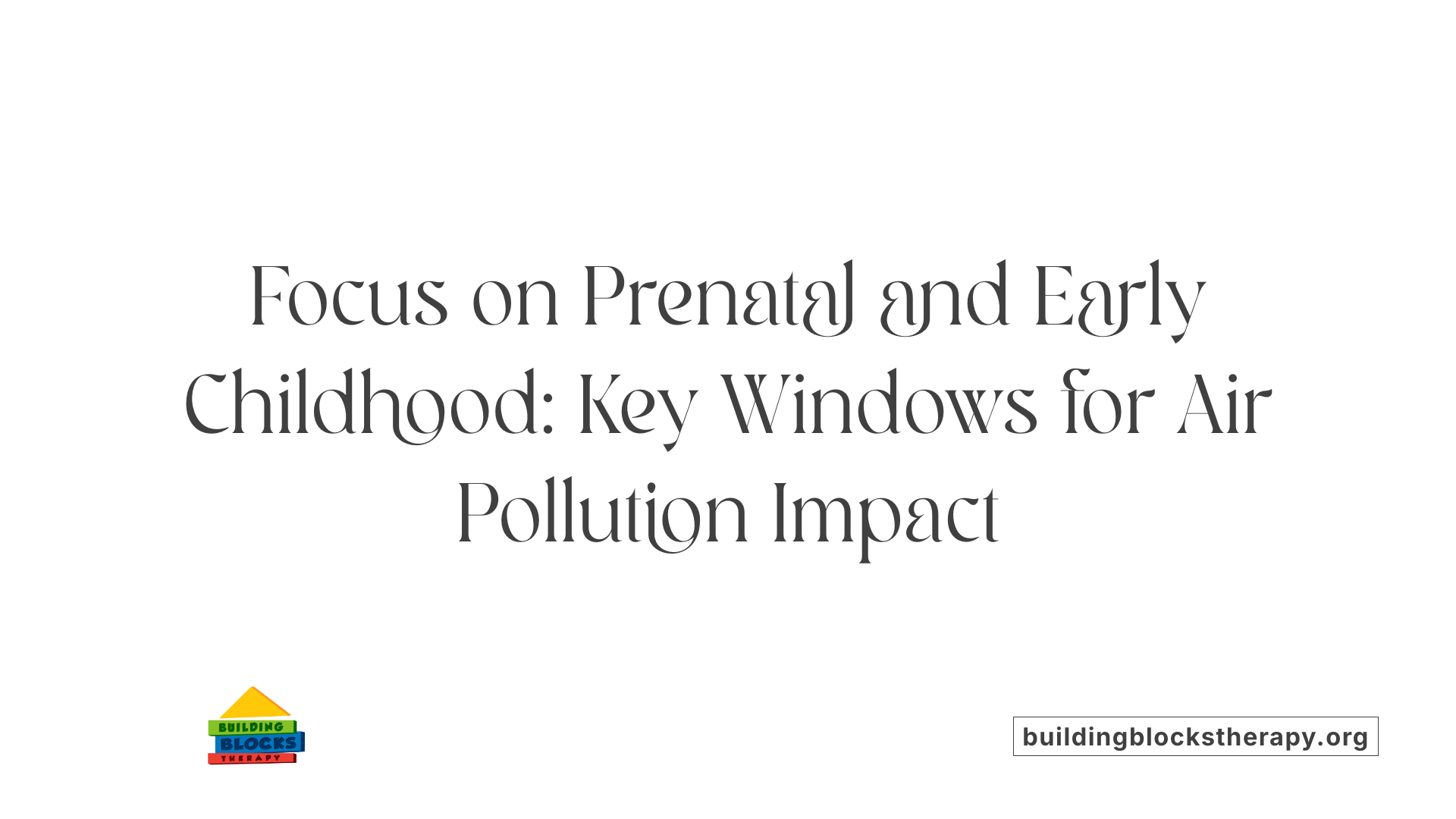 Focus on Prenatal and Early Childhood: Key Windows for Air Pollution Impact