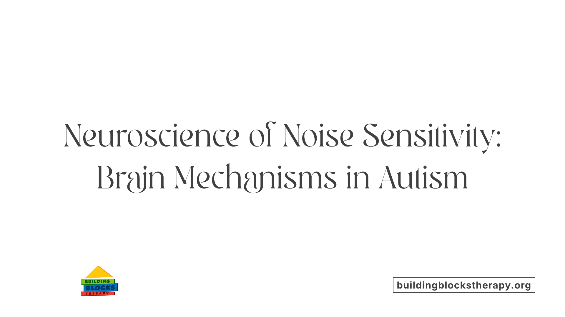 Neuroscience of Noise Sensitivity: Brain Mechanisms in Autism