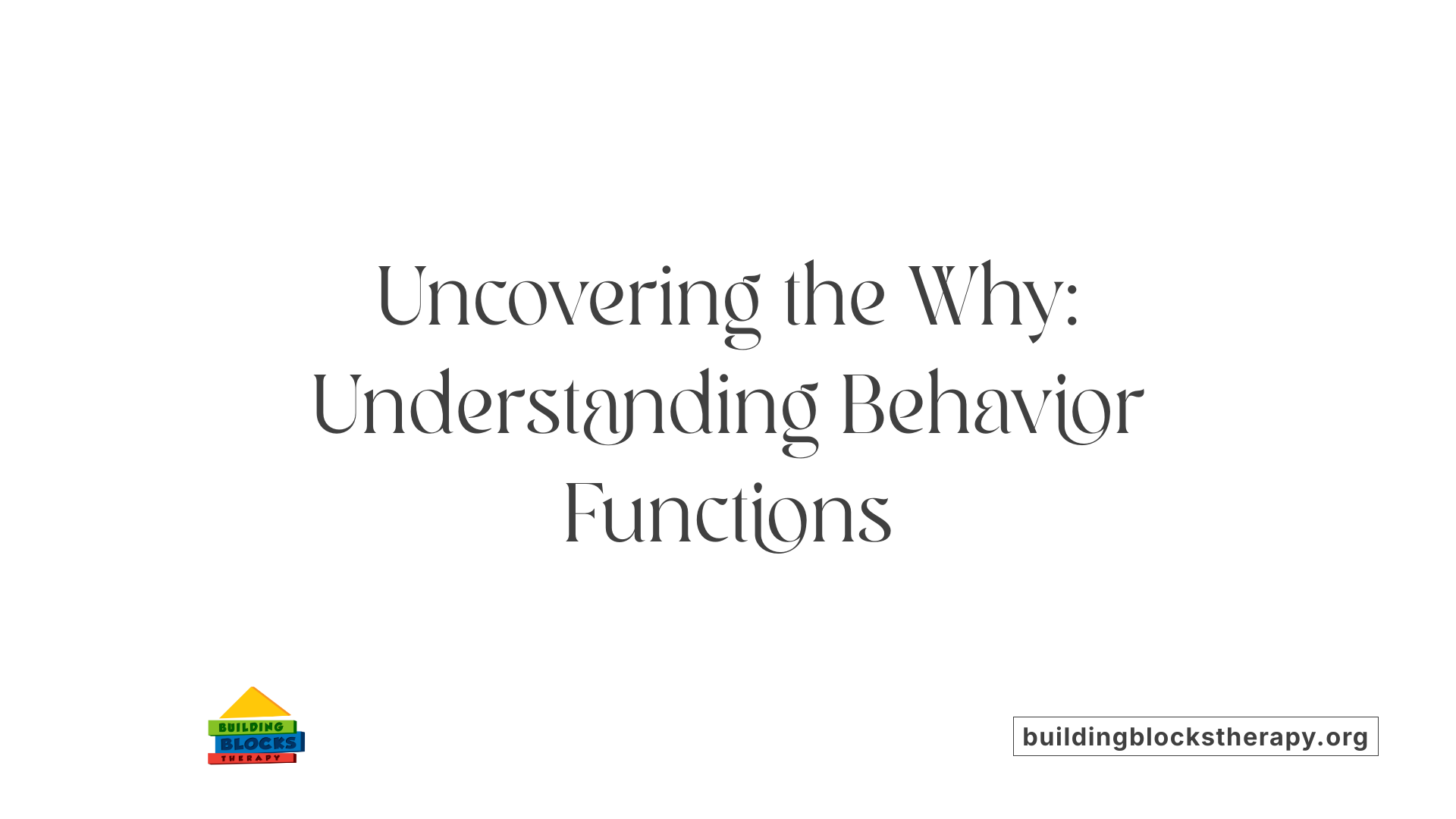 Uncovering the Why: Understanding Behavior Functions
