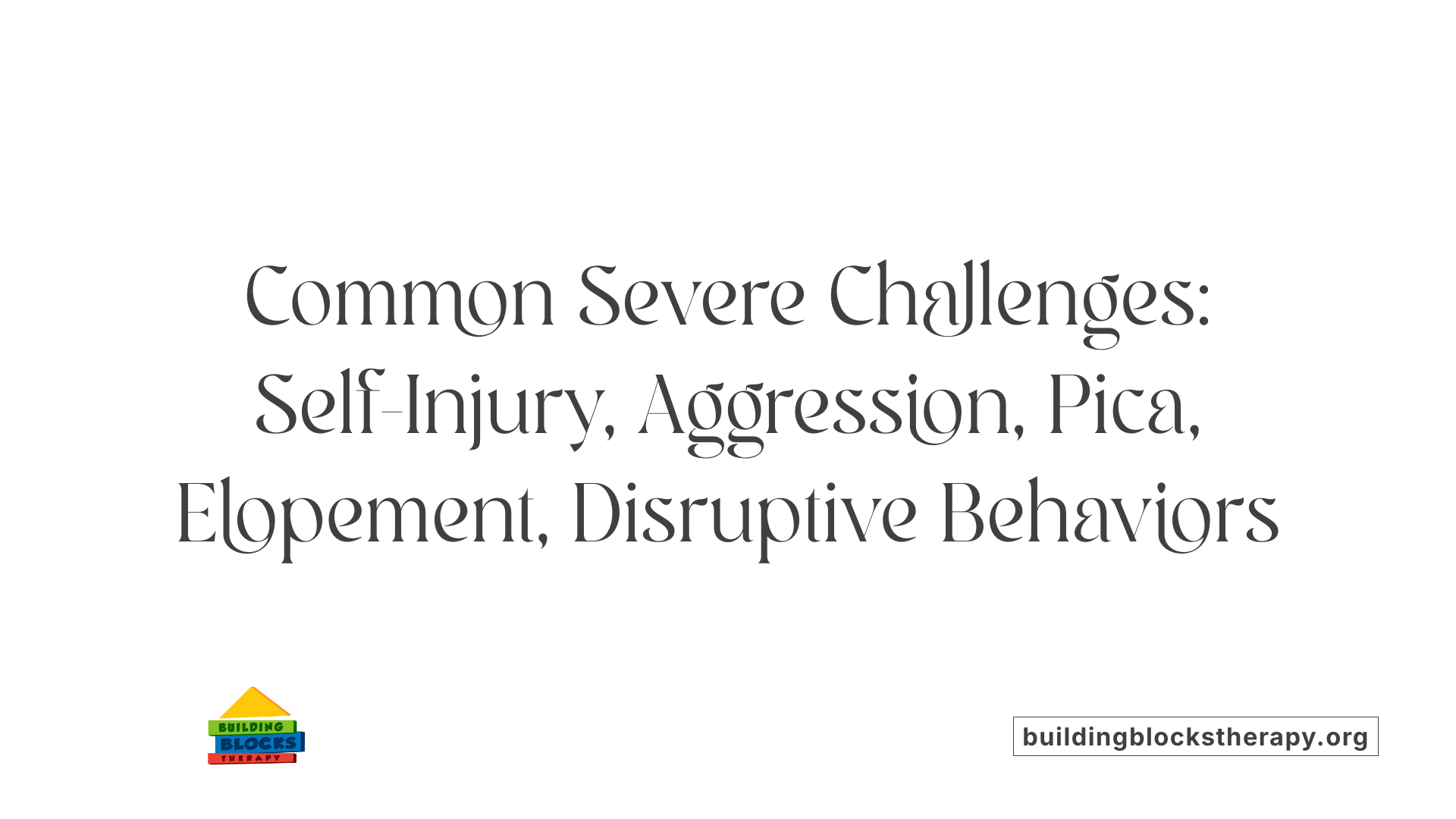 Common Severe Challenges: Self-Injury, Aggression, Pica, Elopement, Disruptive Behaviors