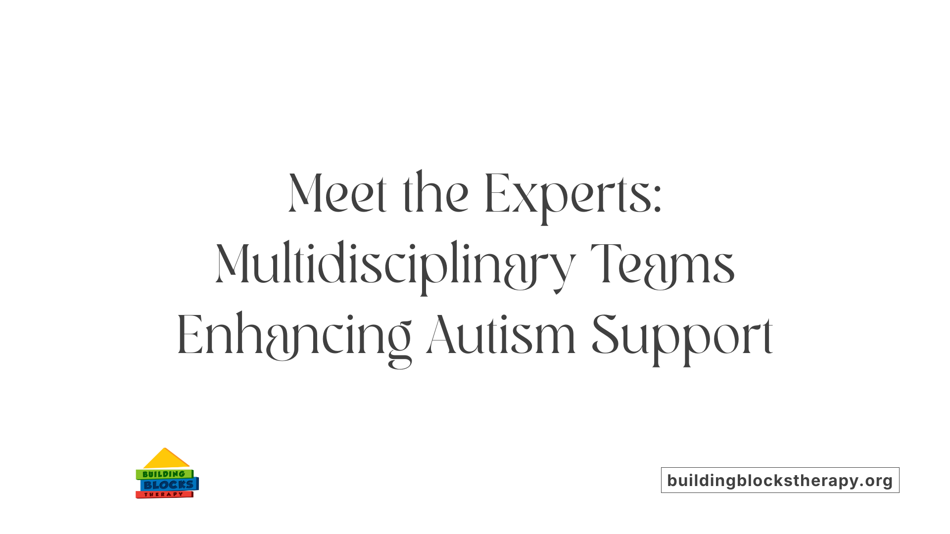Meet the Experts: Multidisciplinary Teams Enhancing Autism Support