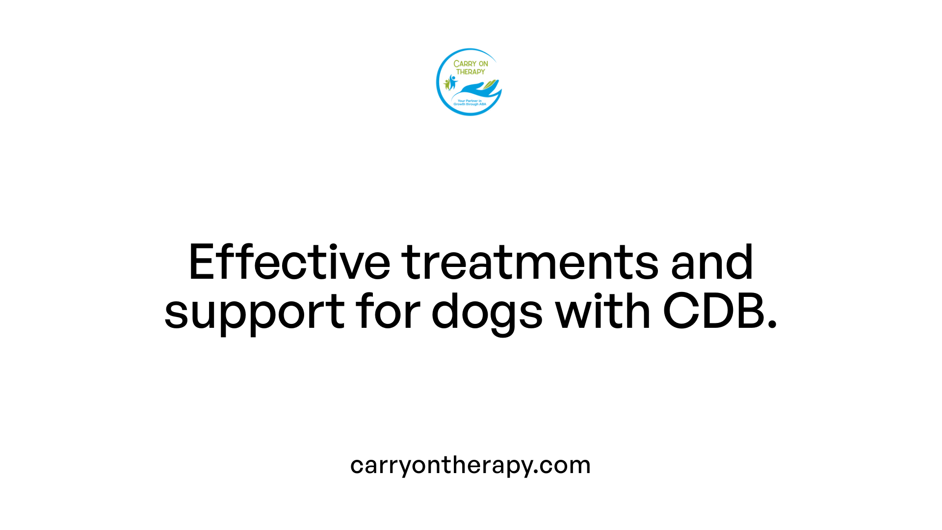 Effective treatments and support for dogs with CDB.