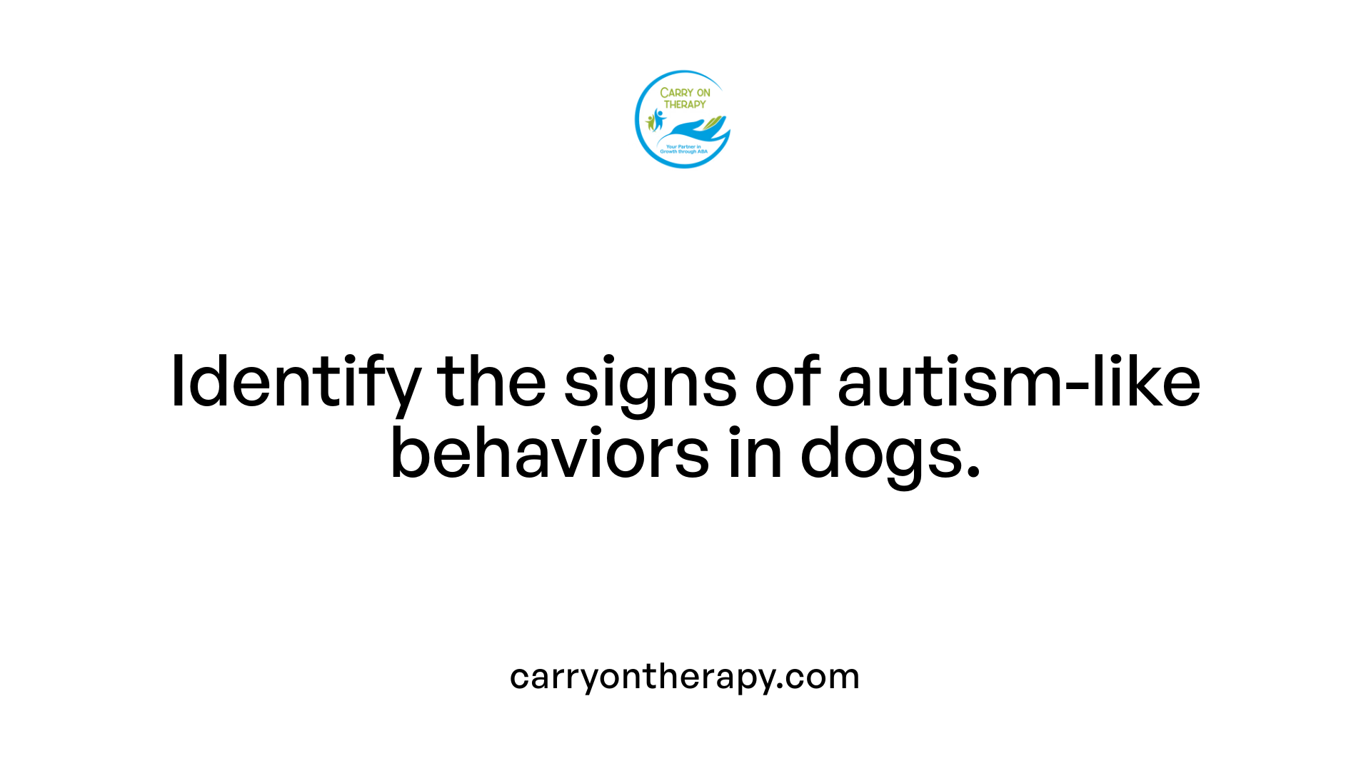 Identify the signs of autism-like behaviors in dogs.