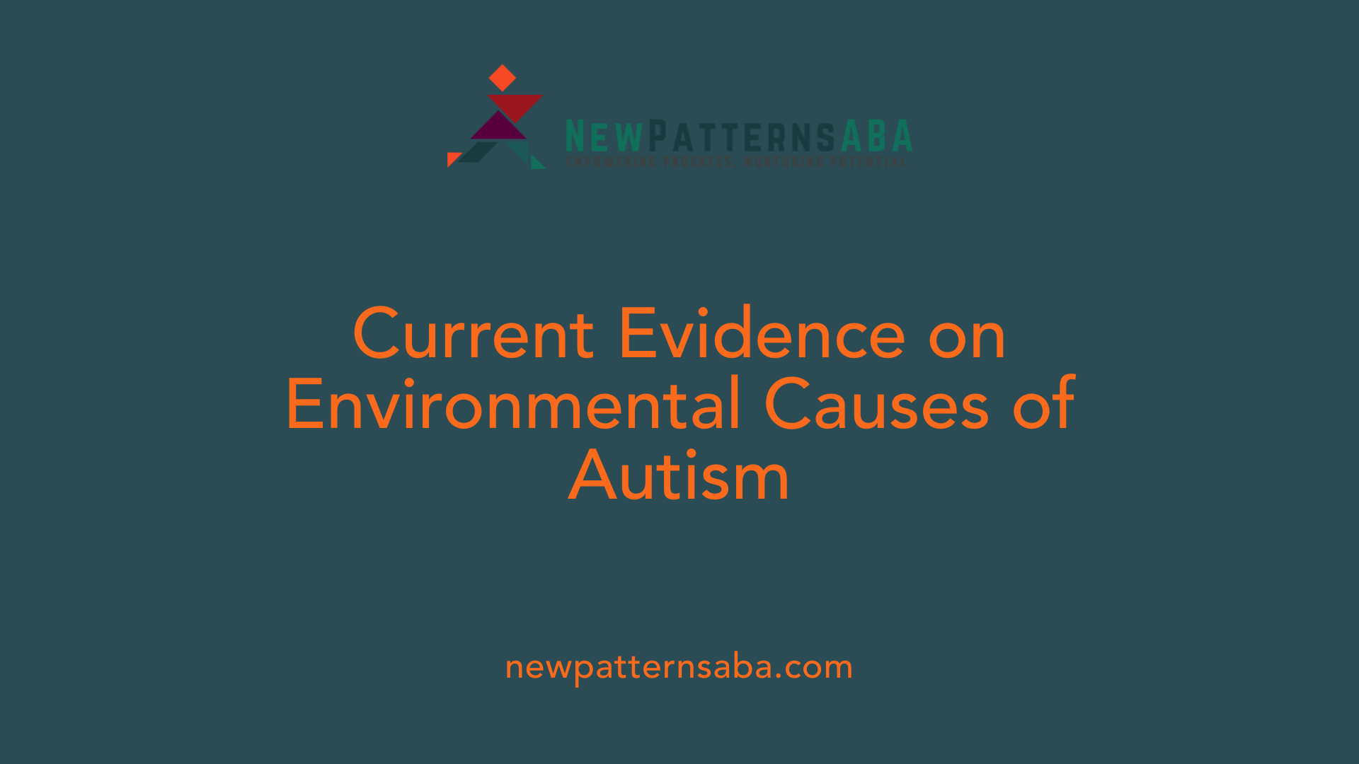 Current Evidence on Environmental Causes of Autism