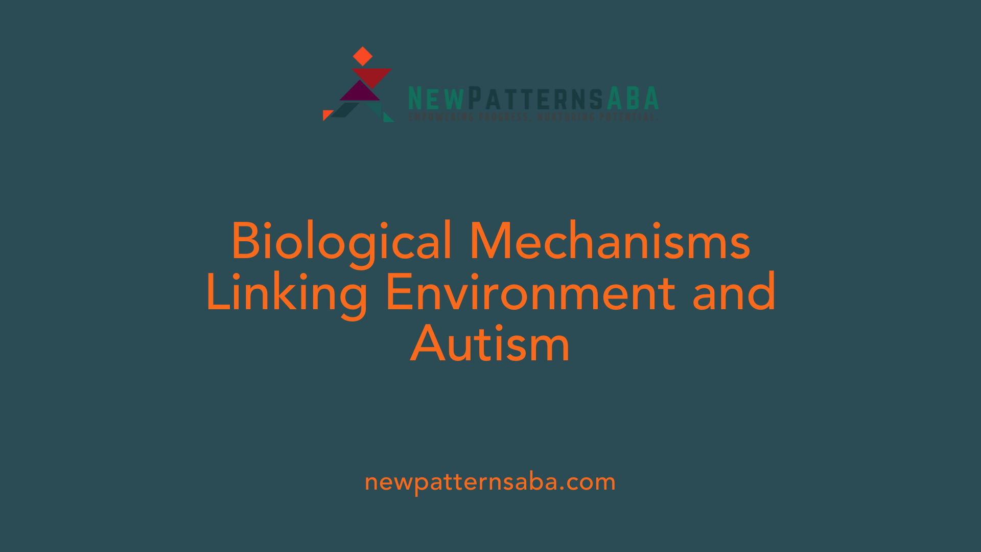 Biological Mechanisms Linking Environment and Autism