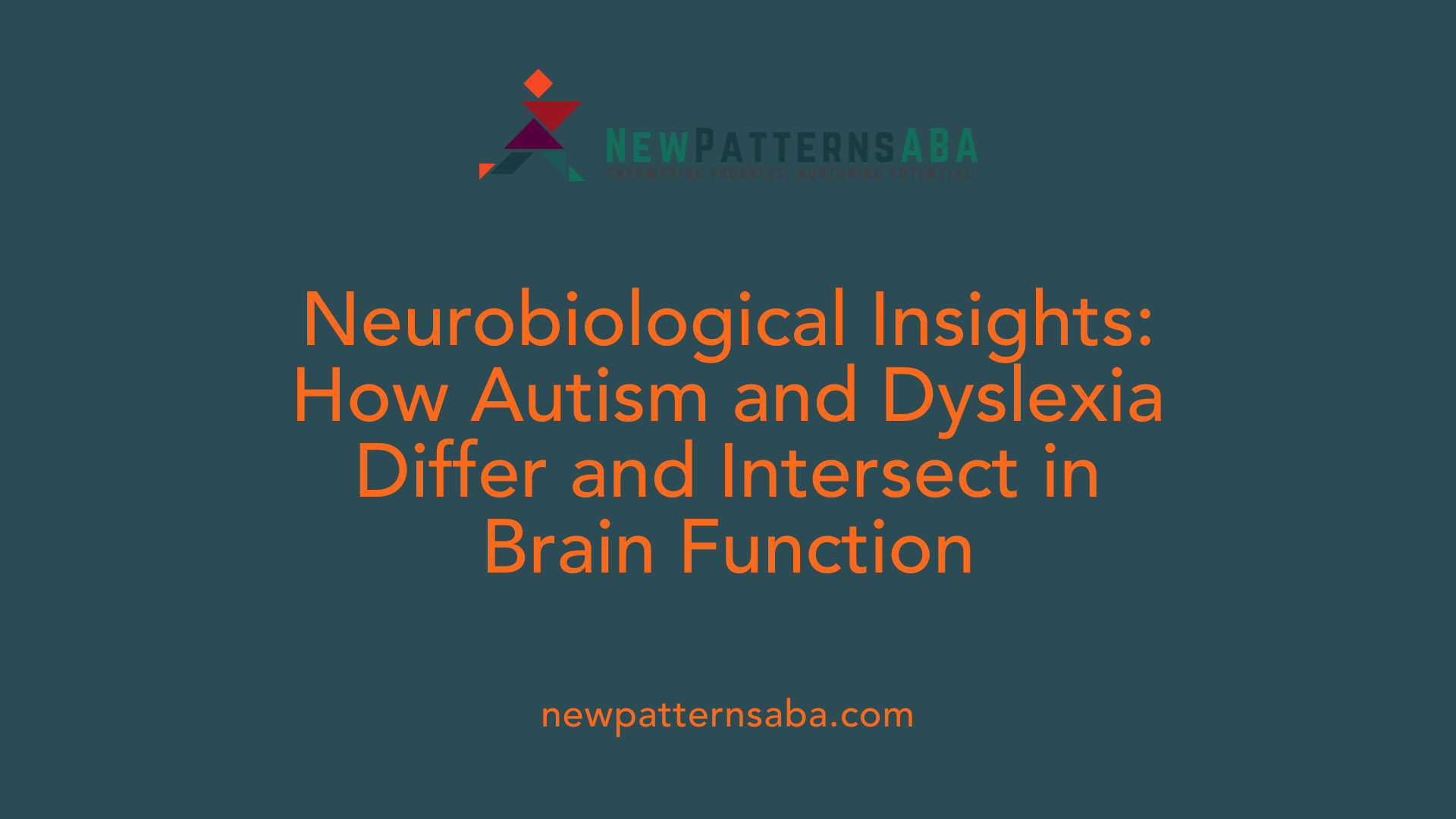 Neurobiological Insights: How Autism and Dyslexia Differ and Intersect in Brain Function