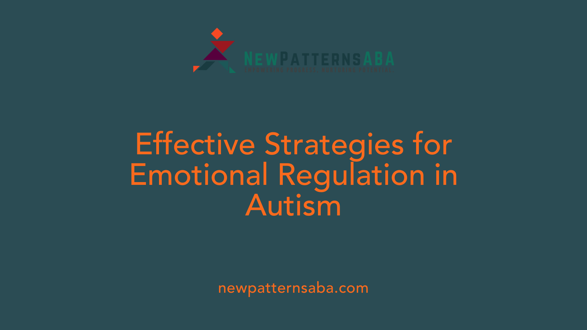 Effective Strategies for Emotional Regulation in Autism