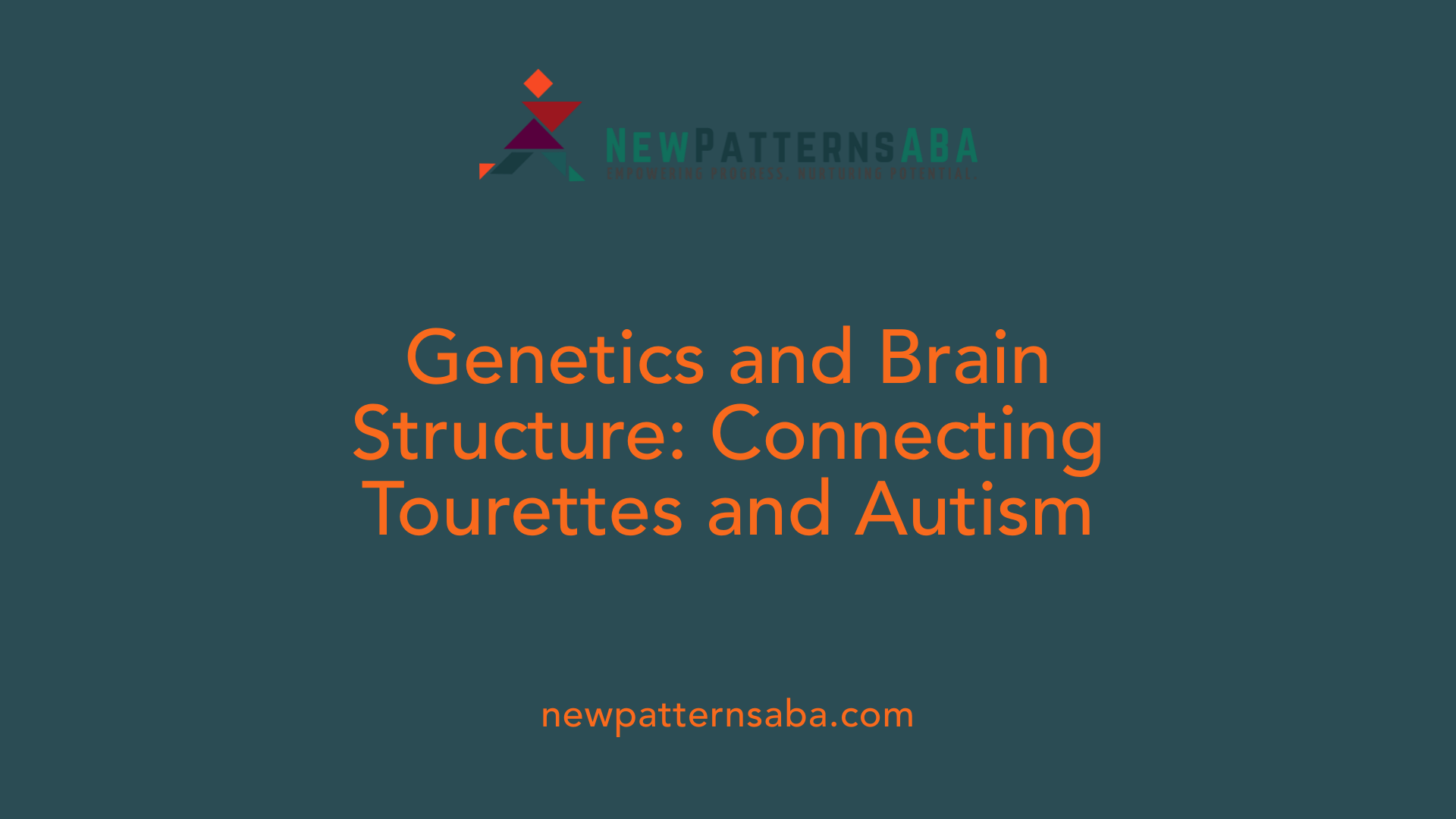 Genetics and Brain Structure: Connecting Tourettes and Autism