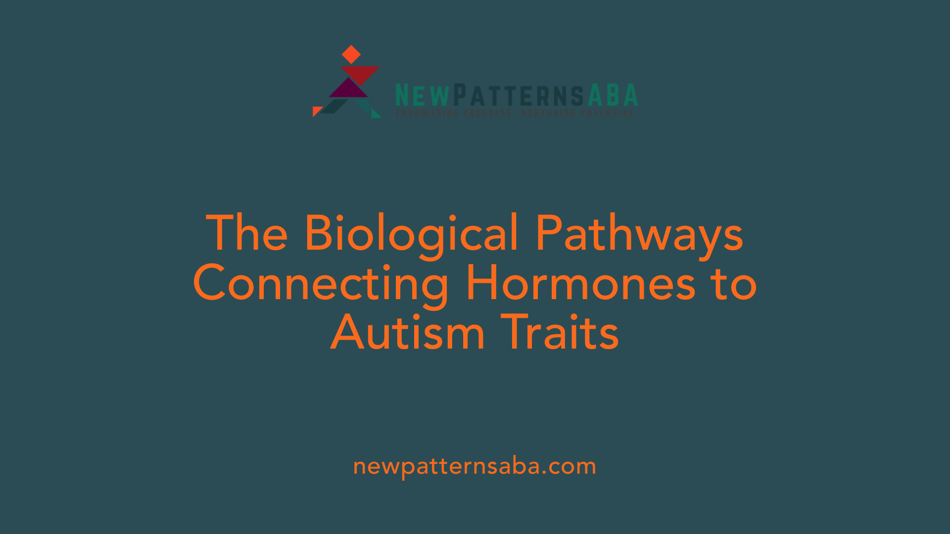 The Biological Pathways Connecting Hormones to Autism Traits