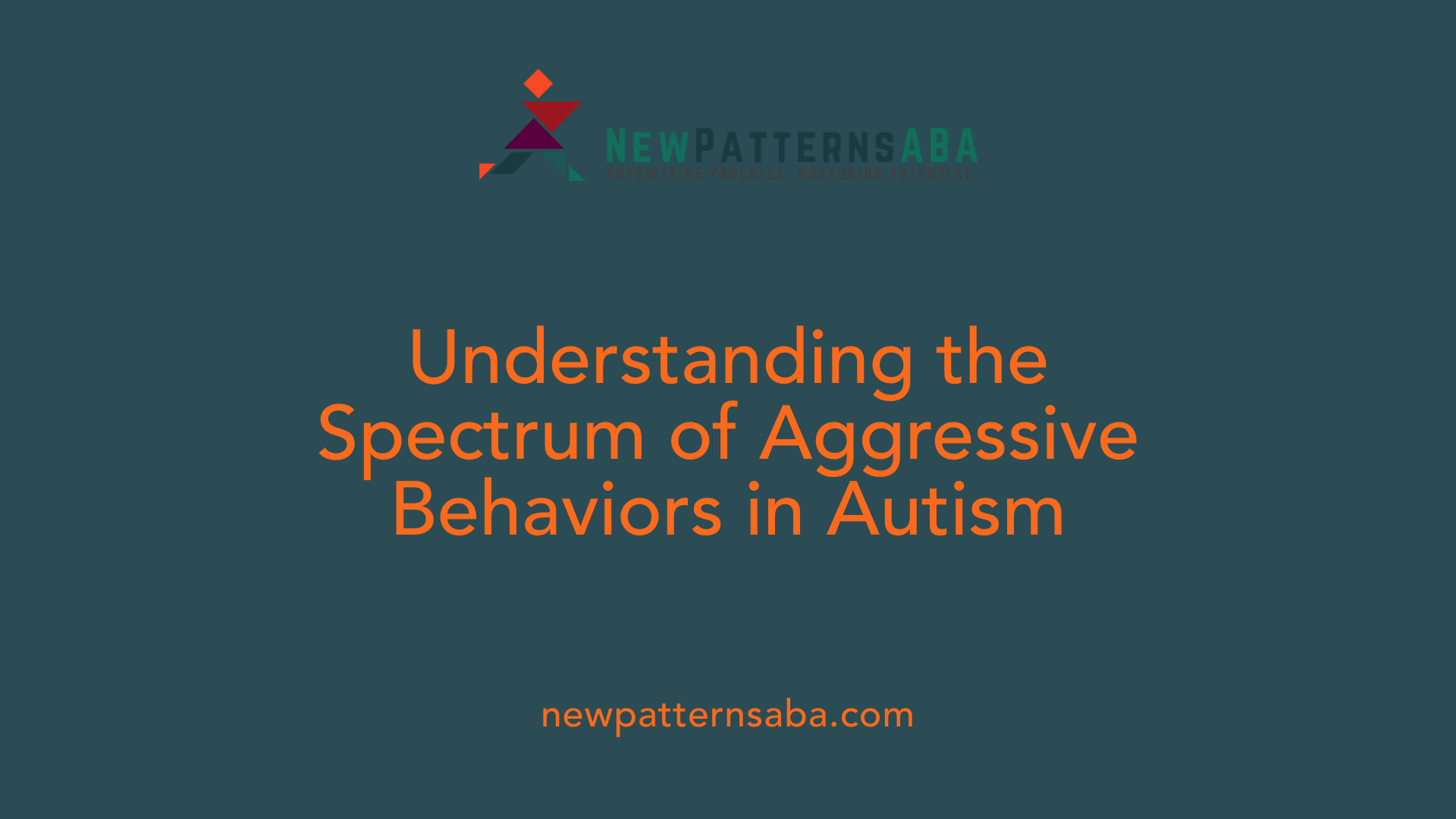 Understanding the Spectrum of Aggressive Behaviors in Autism