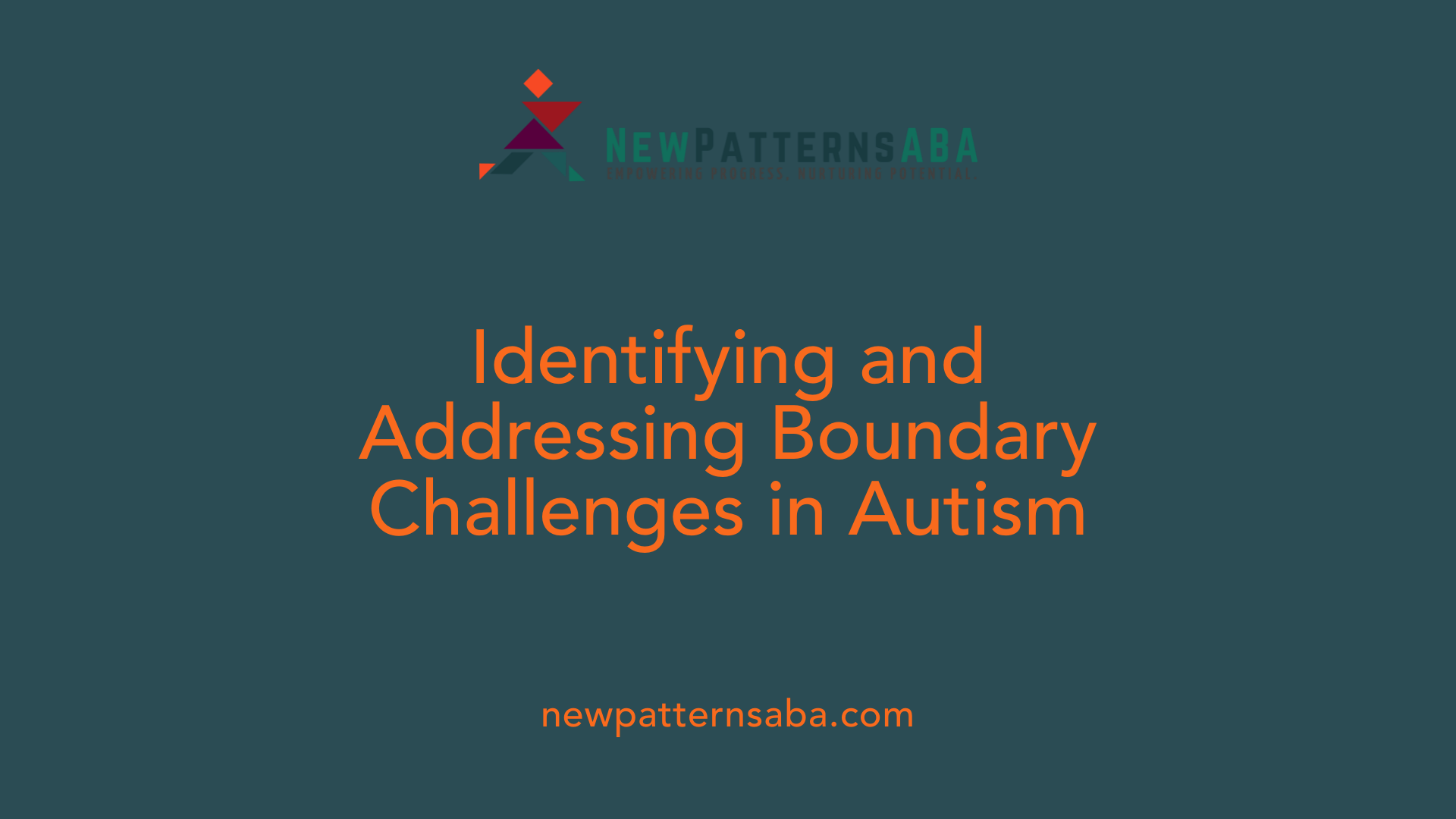 Identifying and Addressing Boundary Challenges in Autism