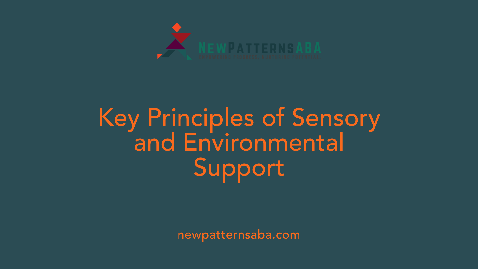 Key Principles of Sensory and Environmental Support