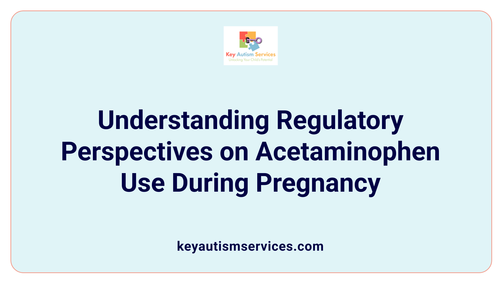 Understanding Regulatory Perspectives on Acetaminophen Use During Pregnancy