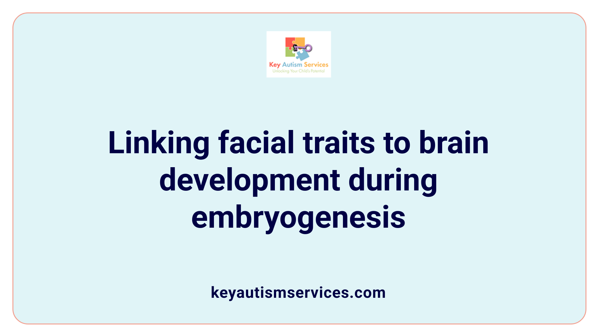 Linking facial traits to brain development during embryogenesis