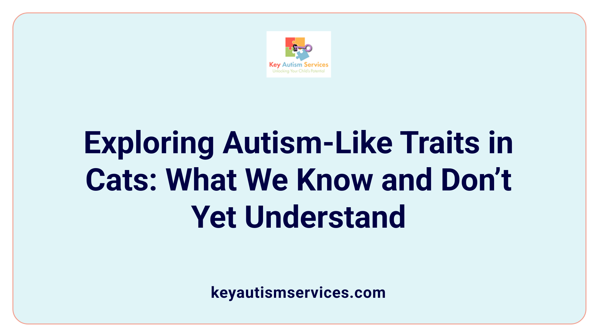 Exploring Autism-Like Traits in Cats: What We Know and Don’t Yet Understand