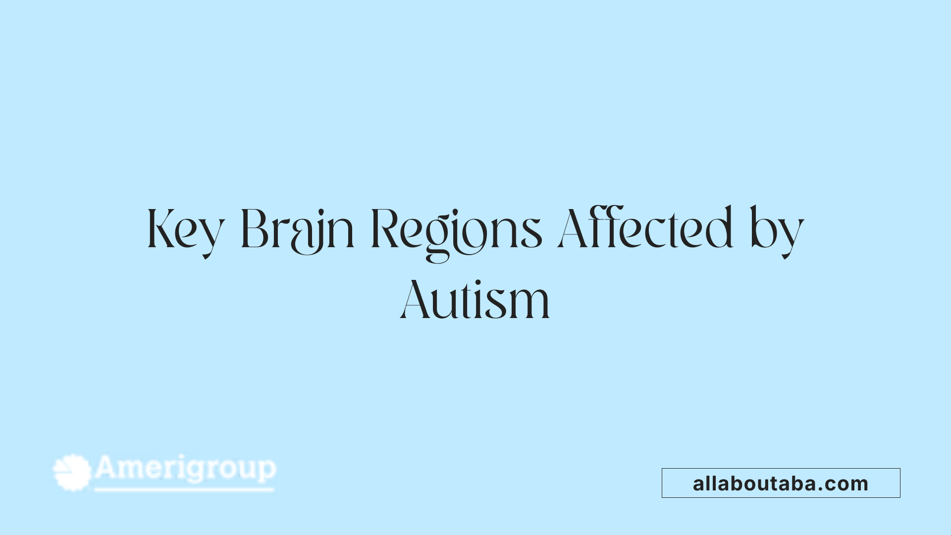 Key Brain Regions Affected by Autism