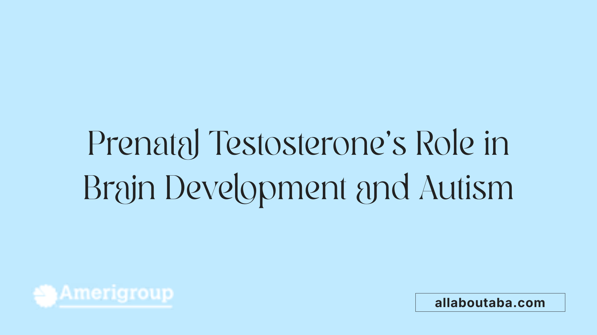 Prenatal Testosterone's Role in Brain Development and Autism