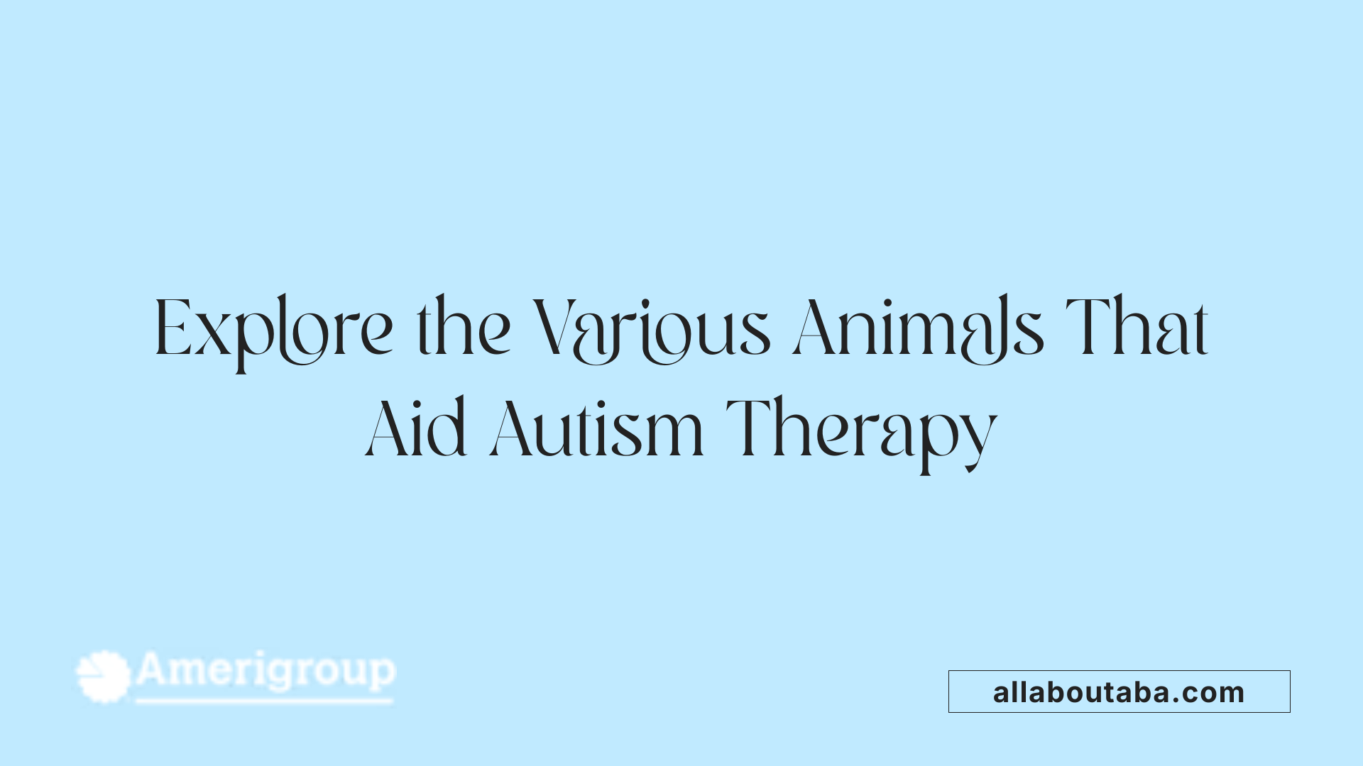 Explore the Various Animals That Aid Autism Therapy