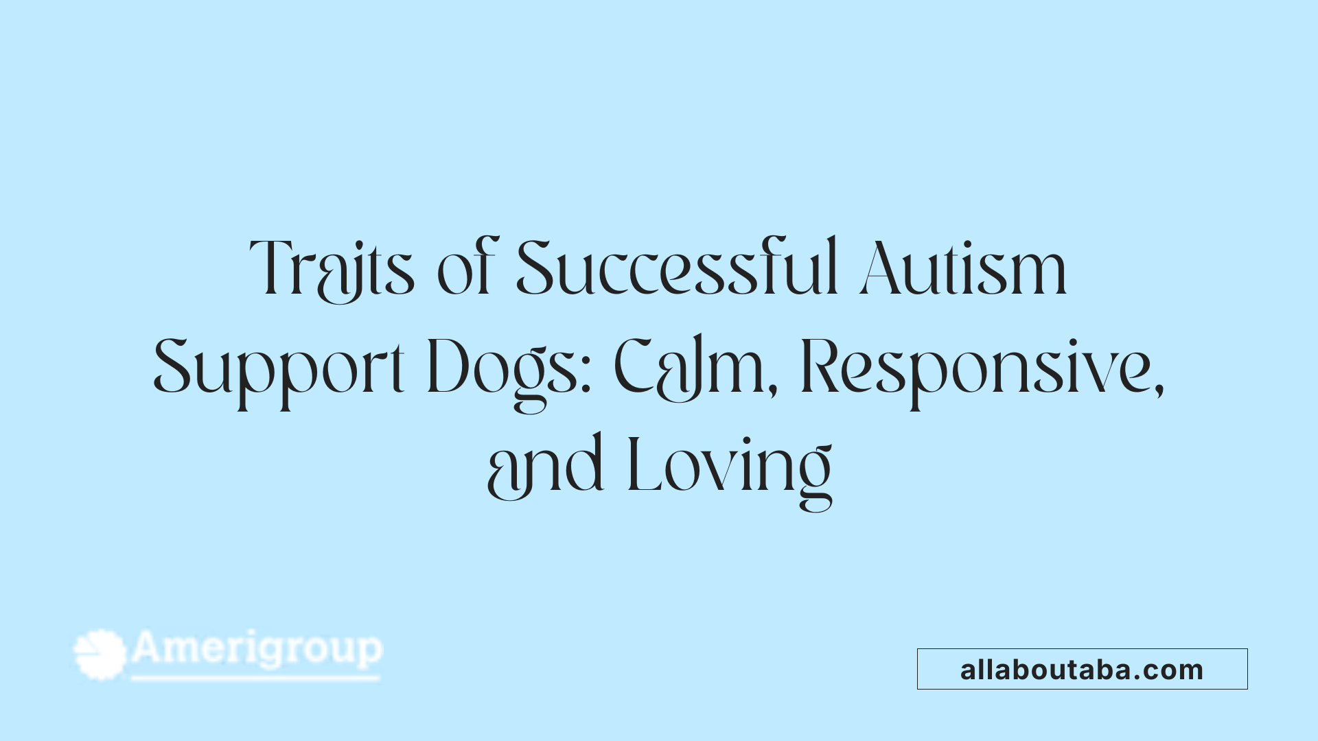 Traits of Successful Autism Support Dogs: Calm, Responsive, and Loving