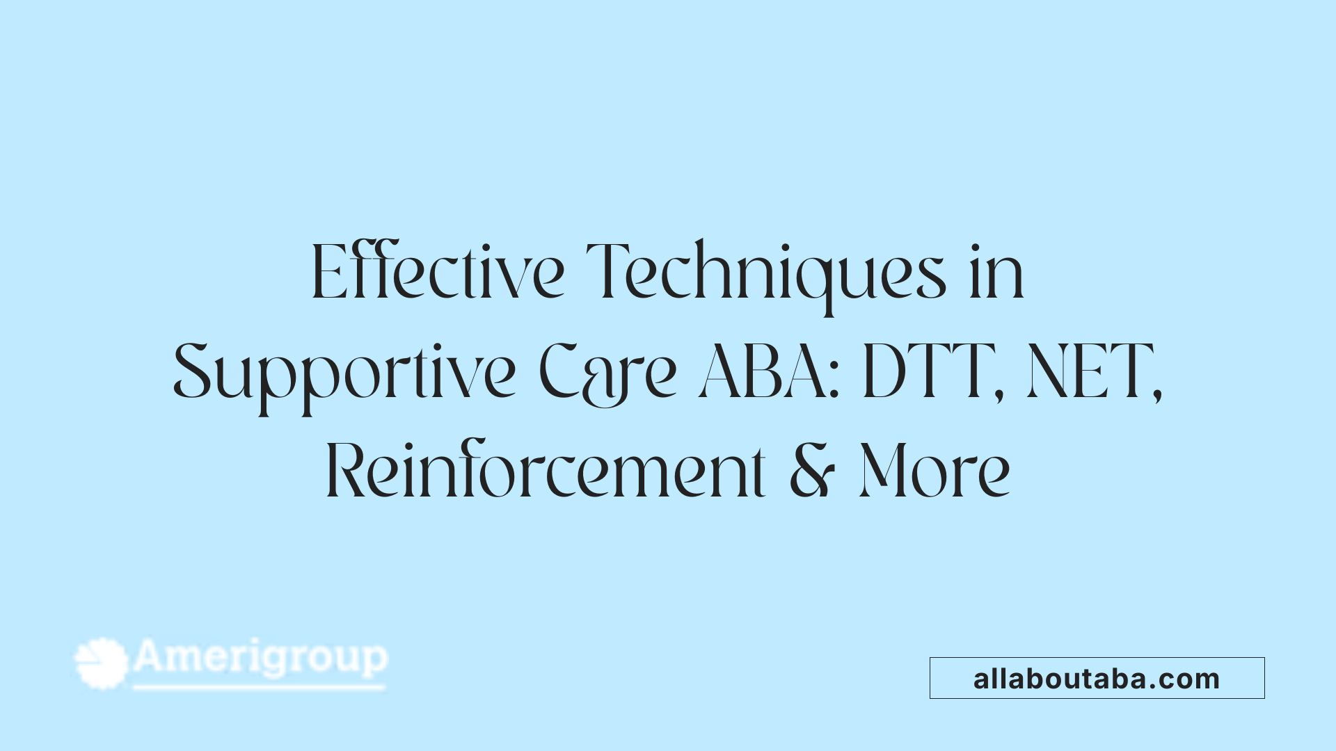 Effective Techniques in Supportive Care ABA: DTT, NET, Reinforcement &amp; More