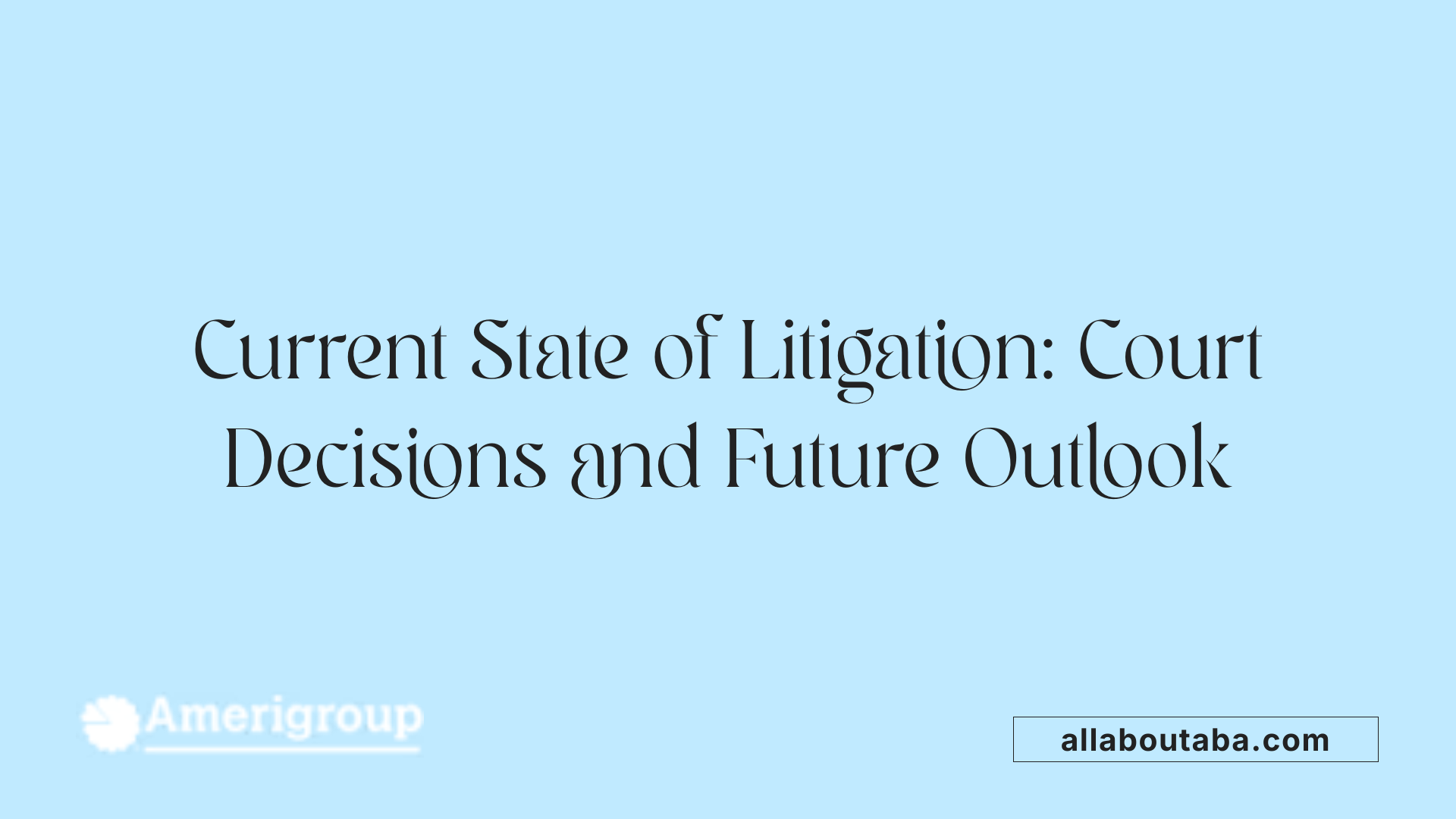 Current State of Litigation: Court Decisions and Future Outlook
