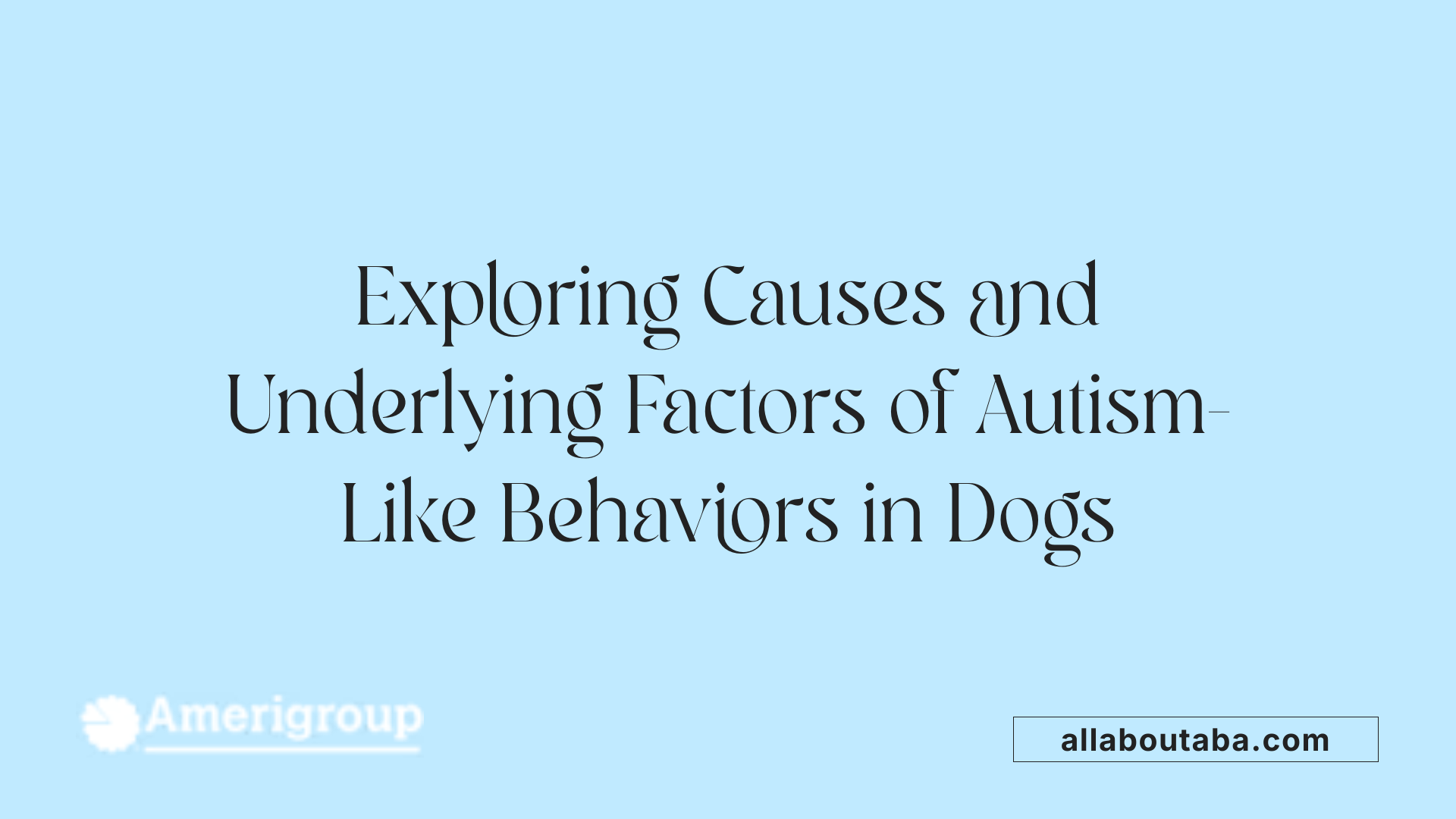 Exploring Causes and Underlying Factors of Autism-Like Behaviors in Dogs