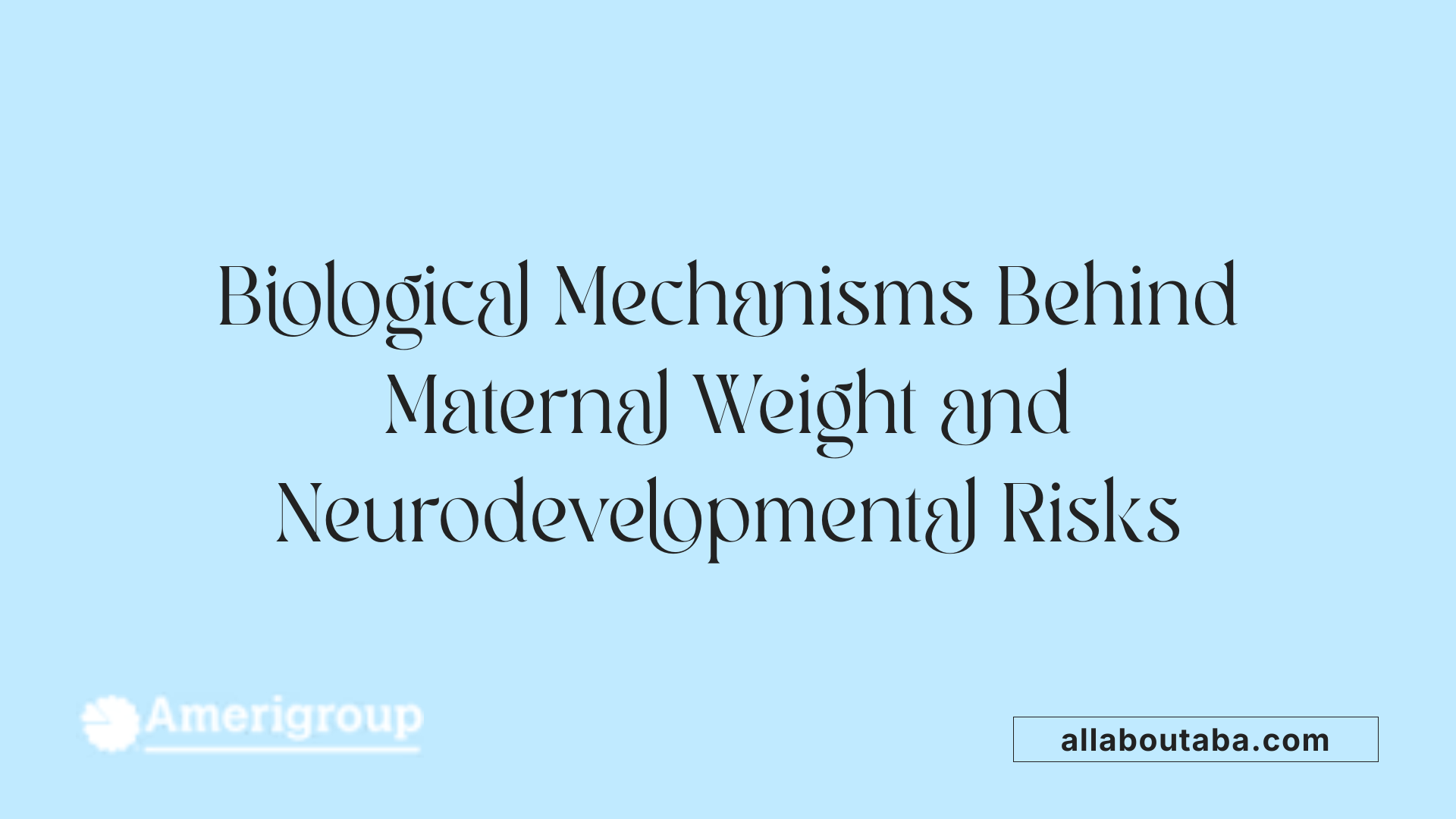 Biological Mechanisms Behind Maternal Weight and Neurodevelopmental Risks