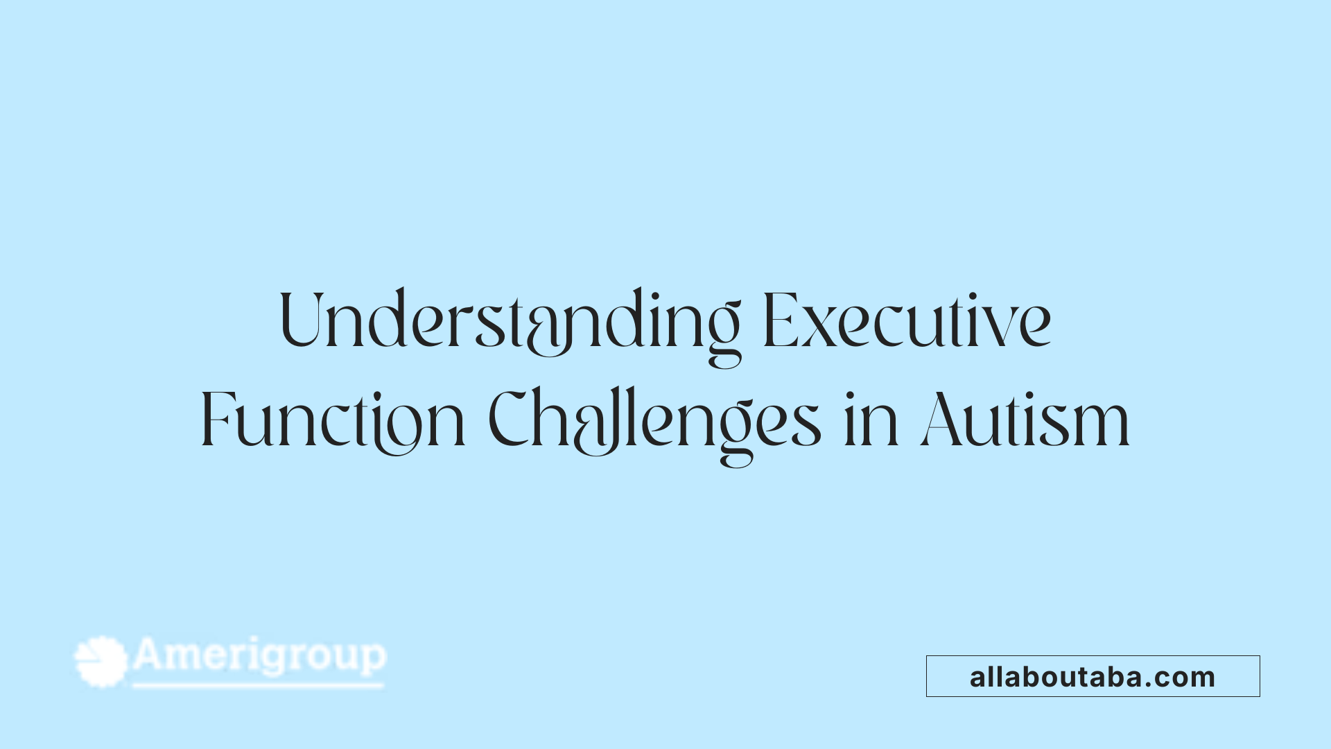 Understanding Executive Function Challenges in Autism