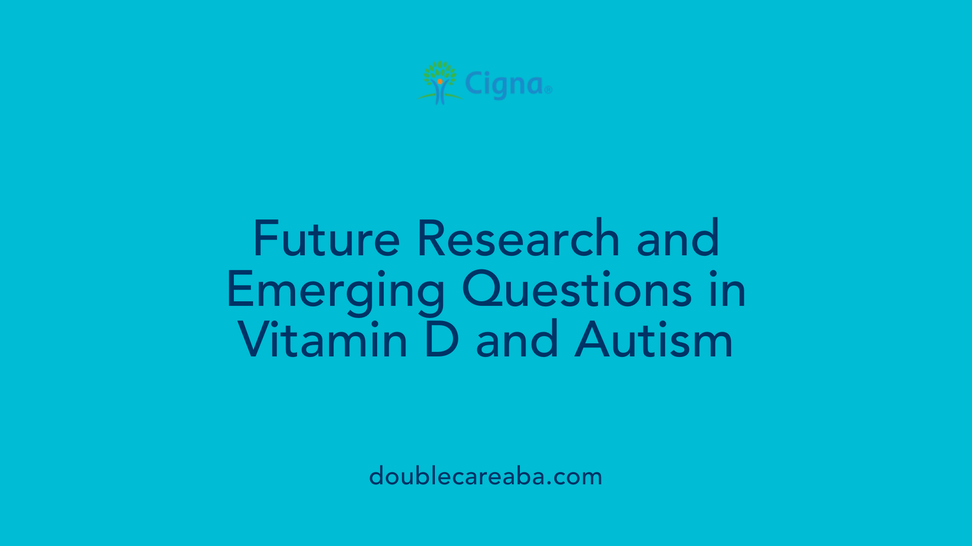 Future Research and Emerging Questions in Vitamin D and Autism