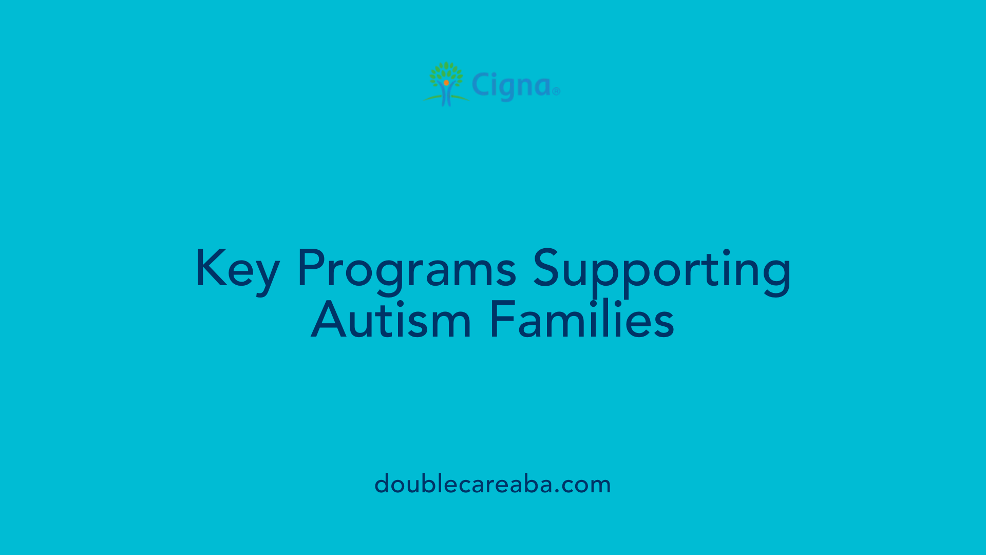 Key Programs Supporting Autism Families