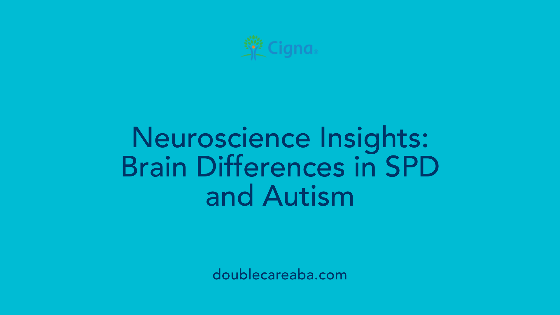 Neuroscience Insights: Brain Differences in SPD and Autism