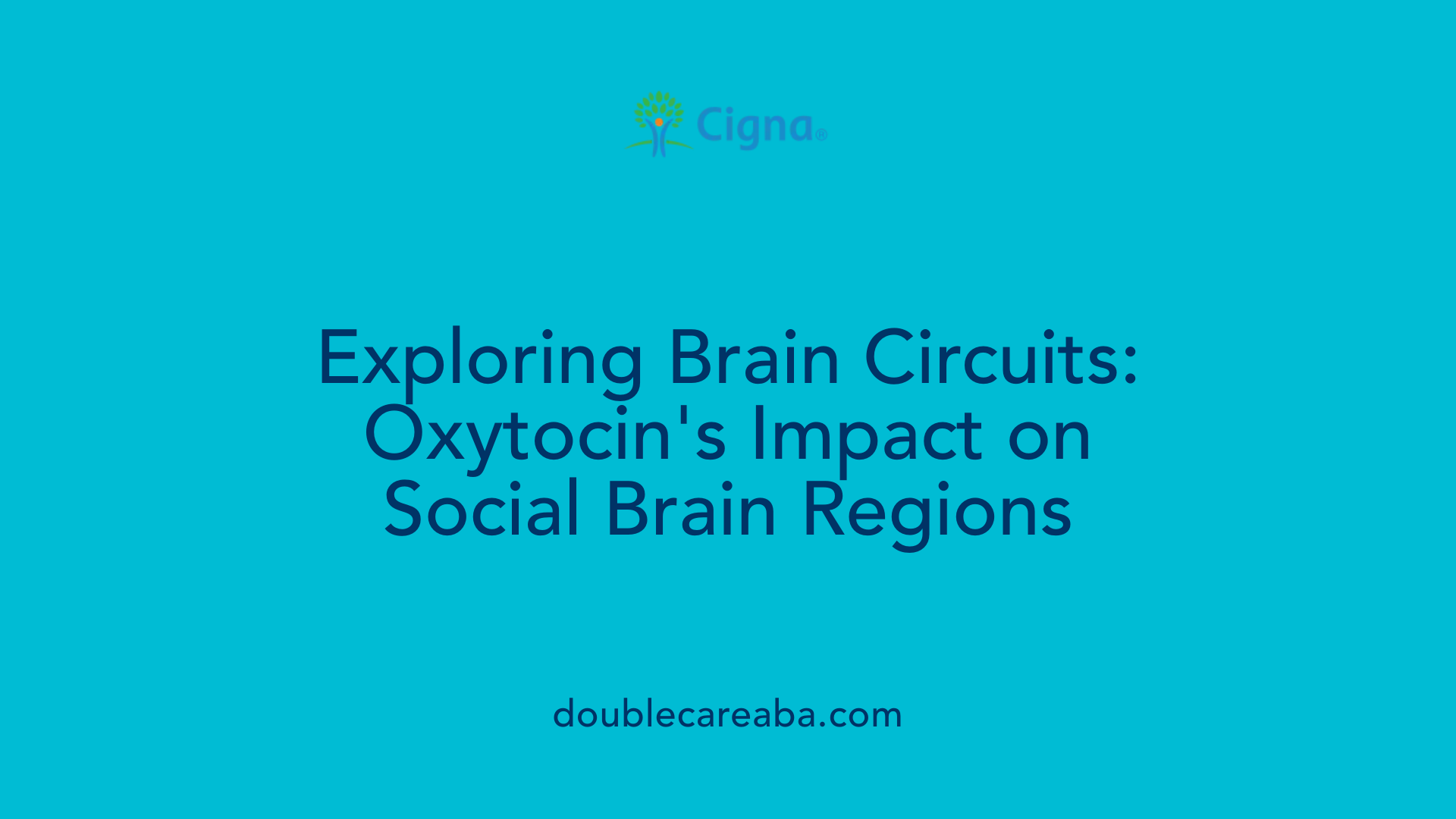 Exploring Brain Circuits: Oxytocin's Impact on Social Brain Regions