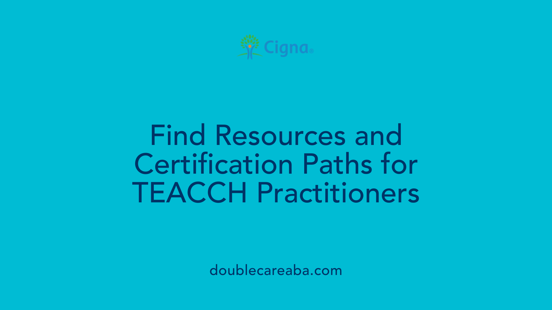 Find Resources and Certification Paths for TEACCH Practitioners