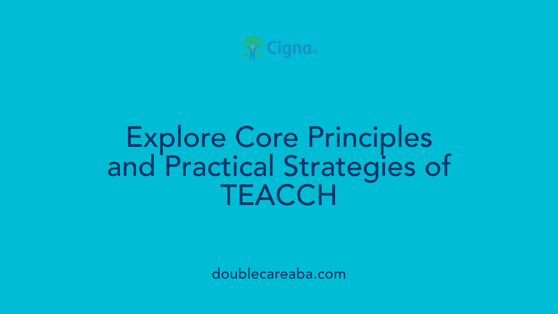 Explore Core Principles and Practical Strategies of TEACCH