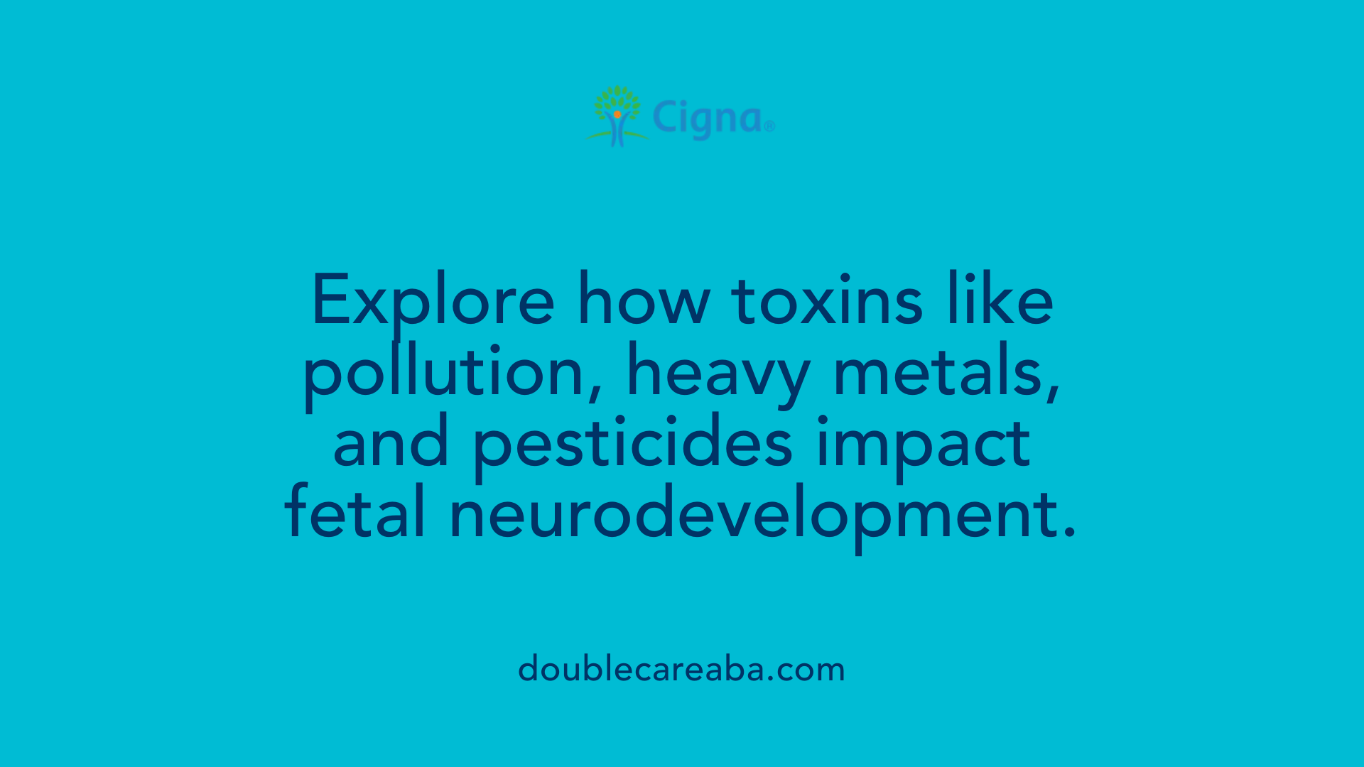 Explore how toxins like pollution, heavy metals, and pesticides impact fetal neurodevelopment.