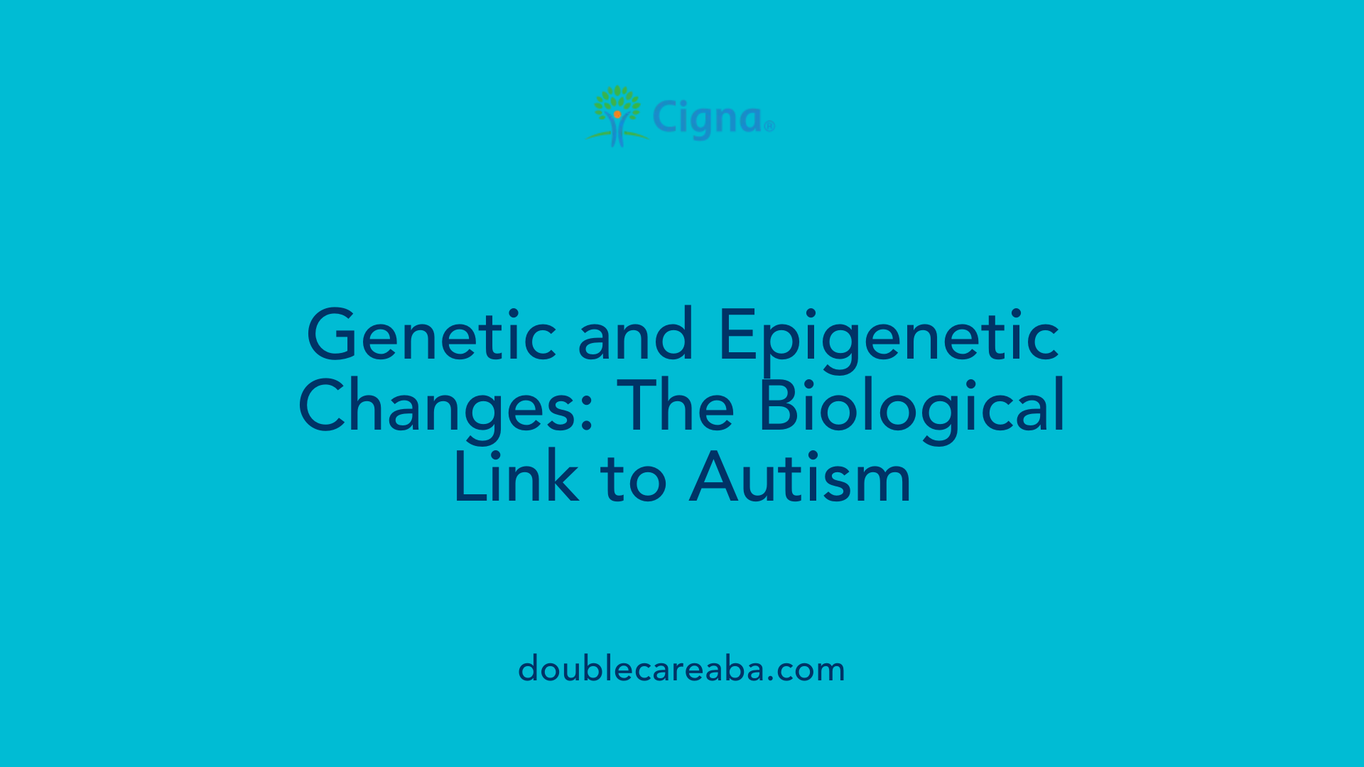 Genetic and Epigenetic Changes: The Biological Link to Autism