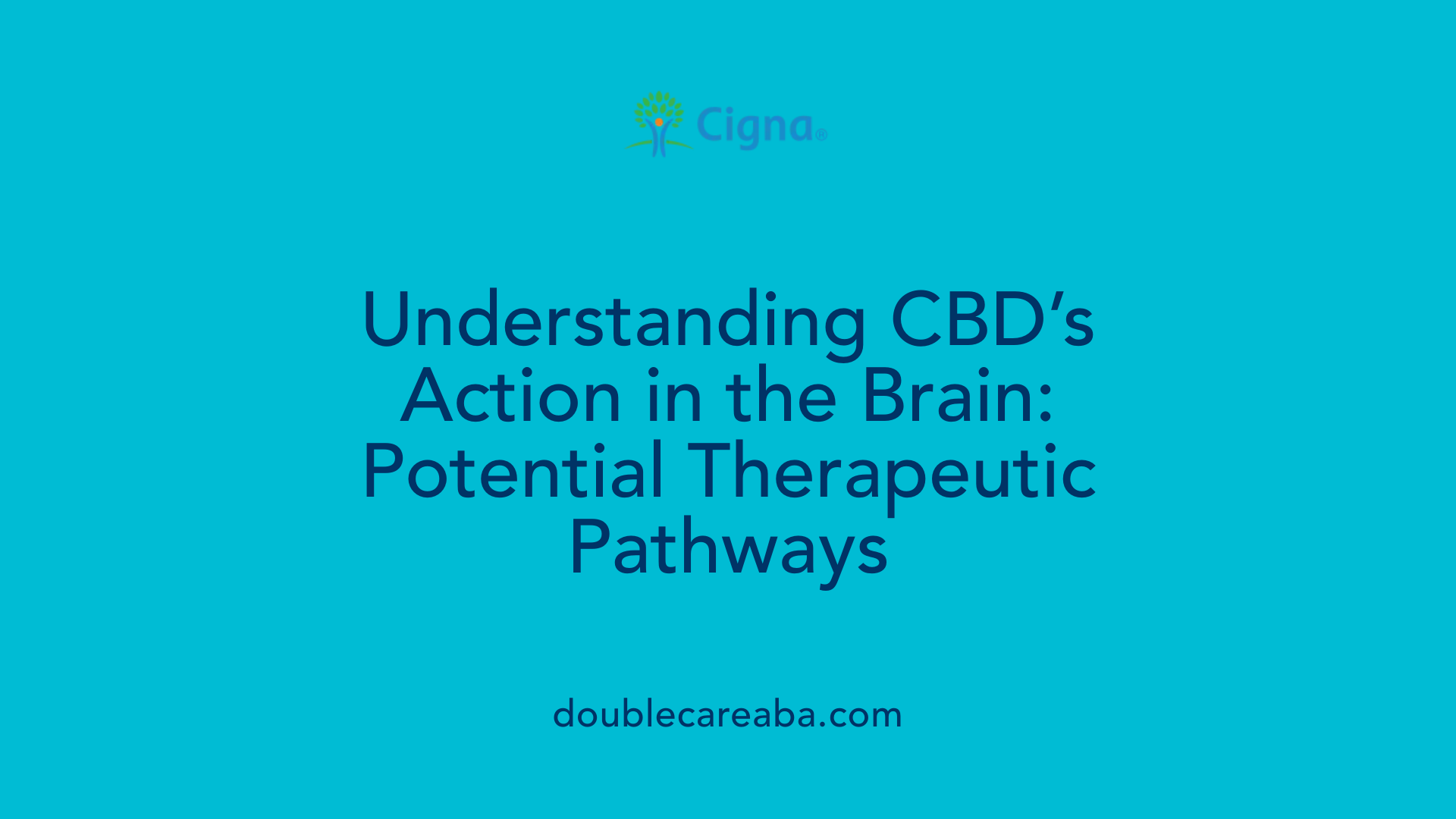 Understanding CBD’s Action in the Brain: Potential Therapeutic Pathways