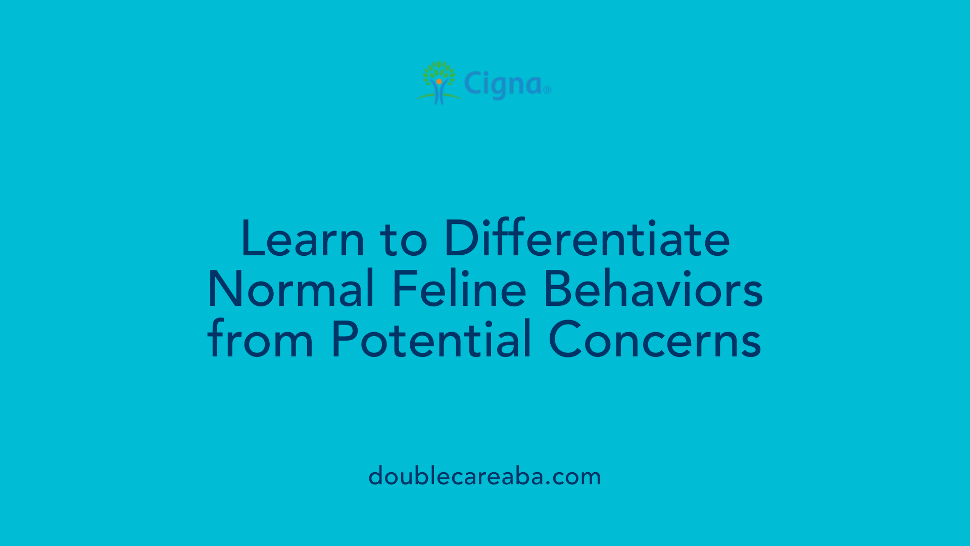 Learn to Differentiate Normal Feline Behaviors from Potential Concerns