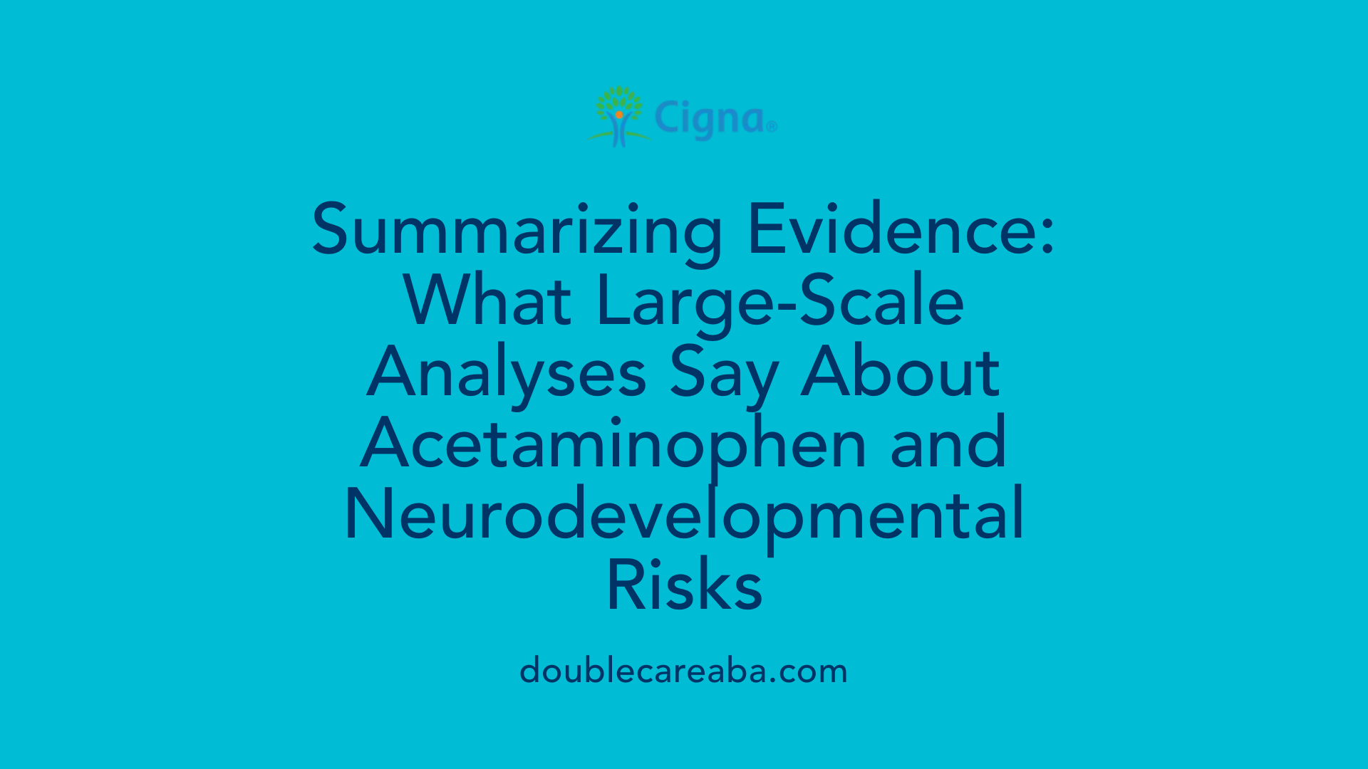 Summarizing Evidence: What Large-Scale Analyses Say About Acetaminophen and Neurodevelopmental Risks