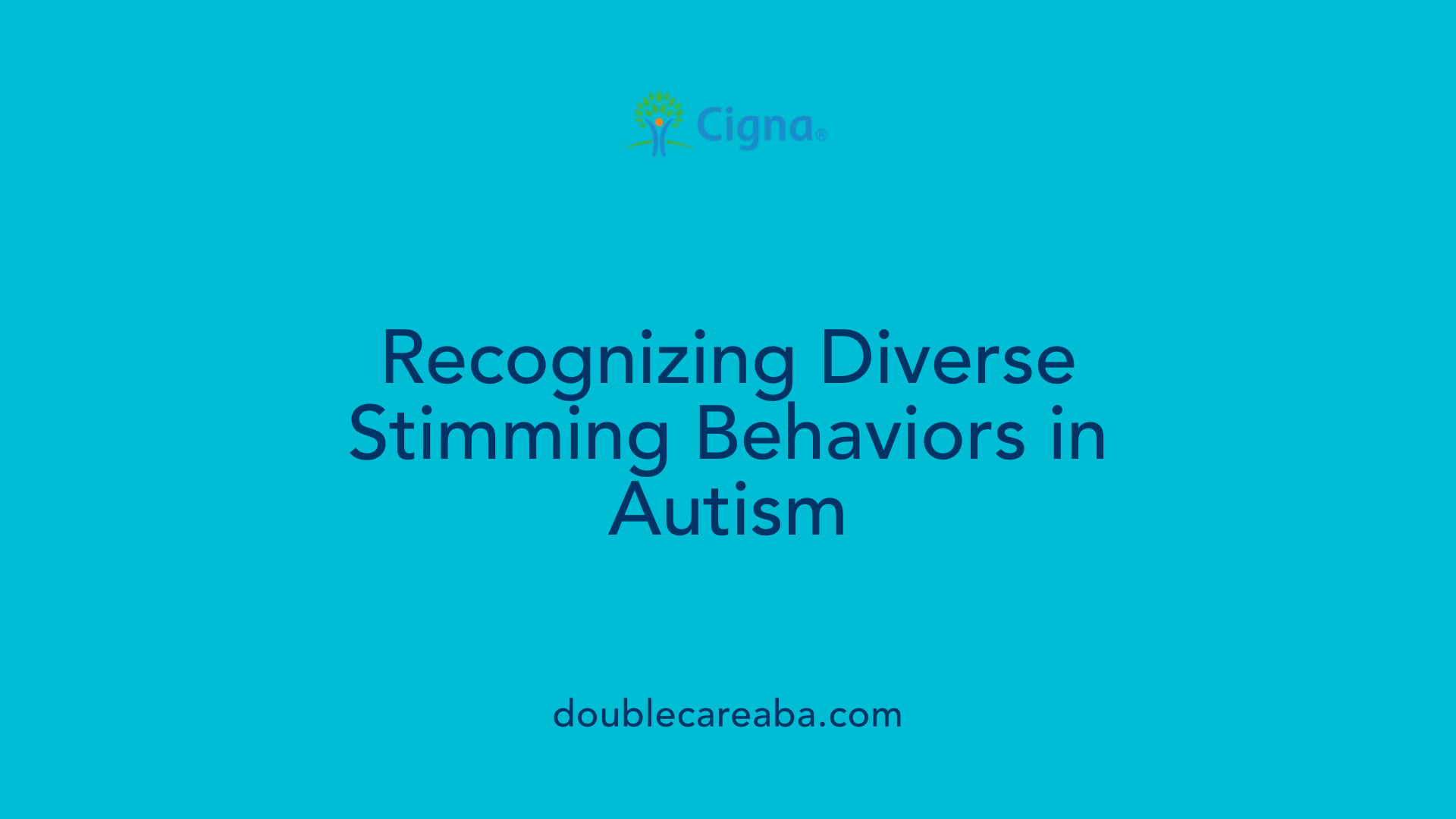 Recognizing Diverse Stimming Behaviors in Autism