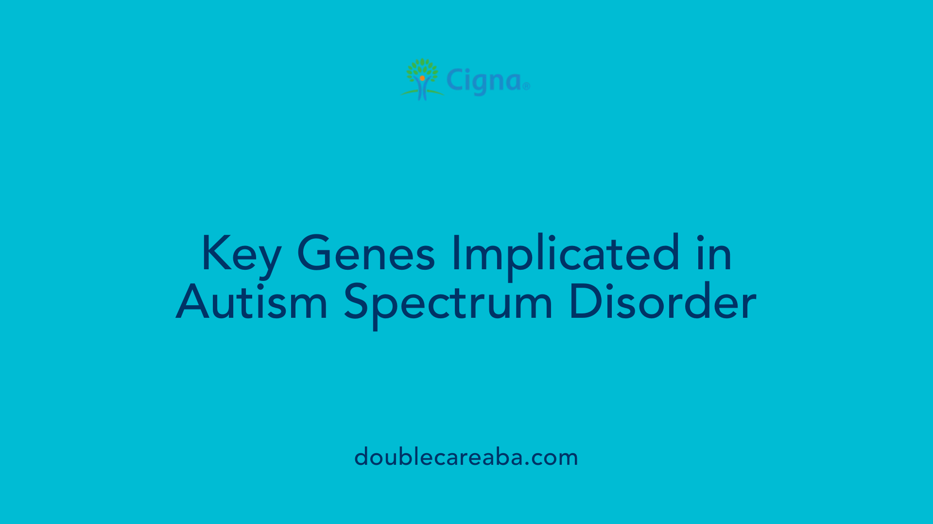 Key Genes Implicated in Autism Spectrum Disorder