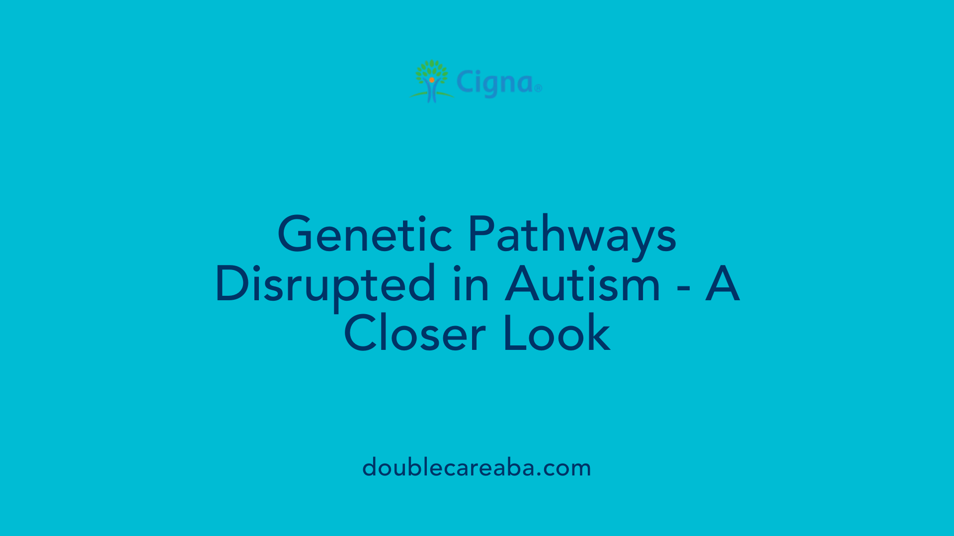 Genetic Pathways Disrupted in Autism - A Closer Look