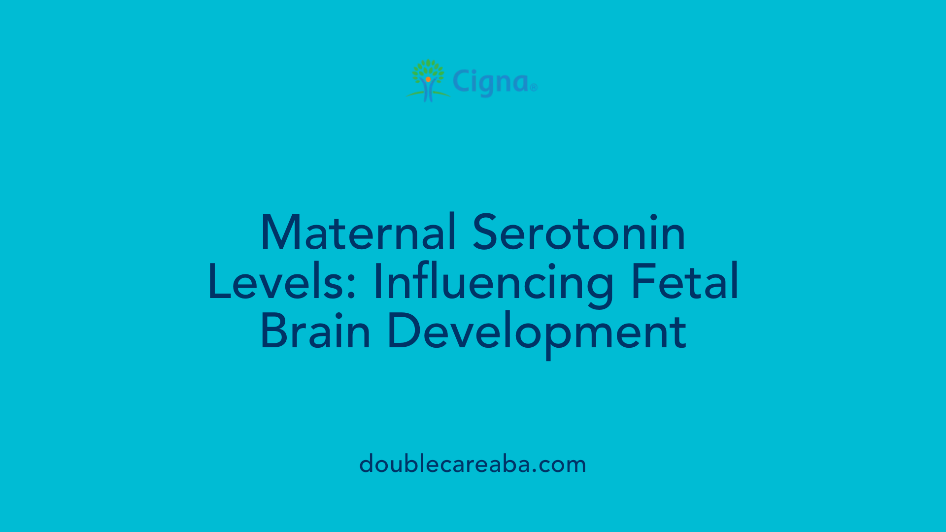 Maternal Serotonin Levels: Influencing Fetal Brain Development