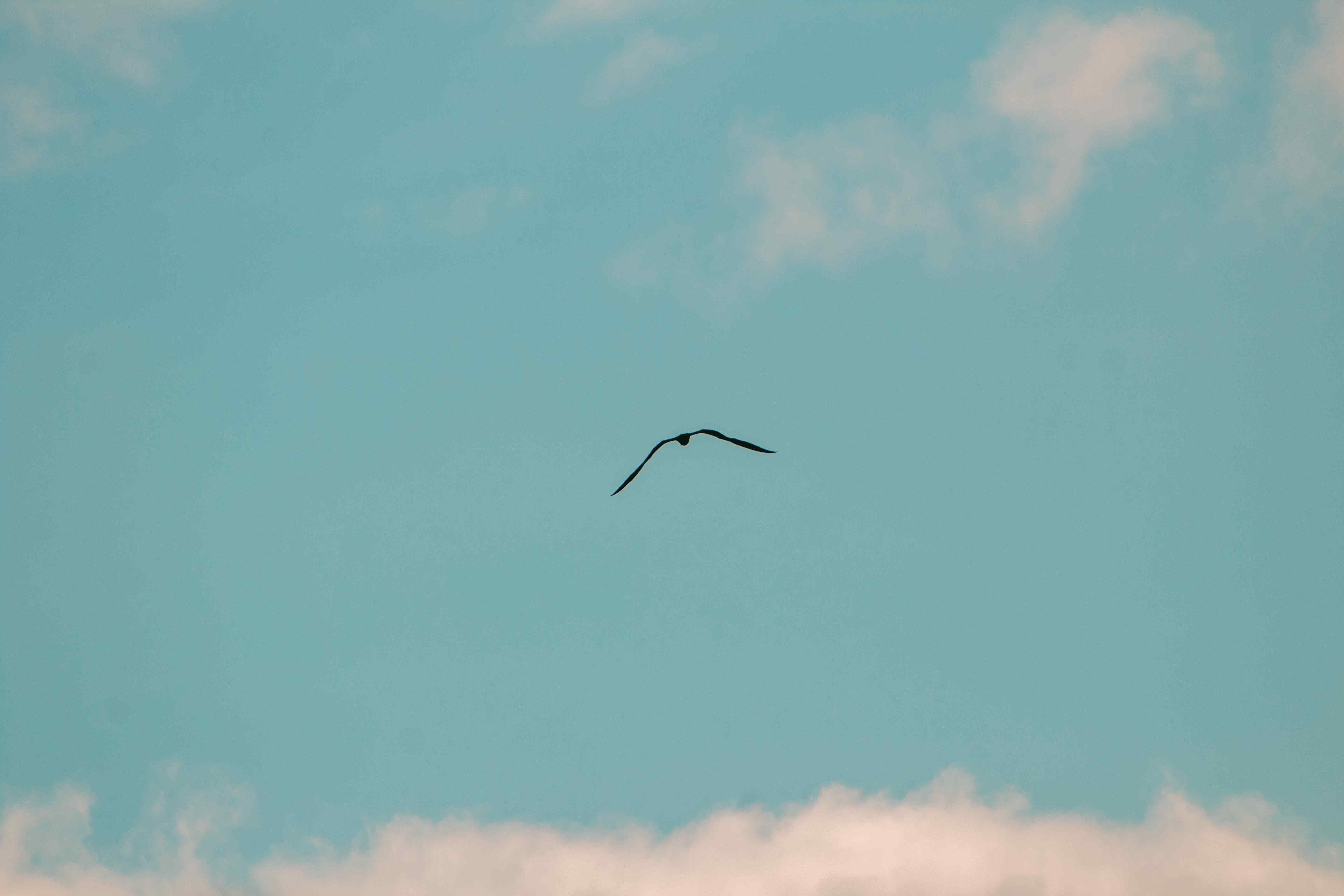 Stages Of Alcohol Recovery